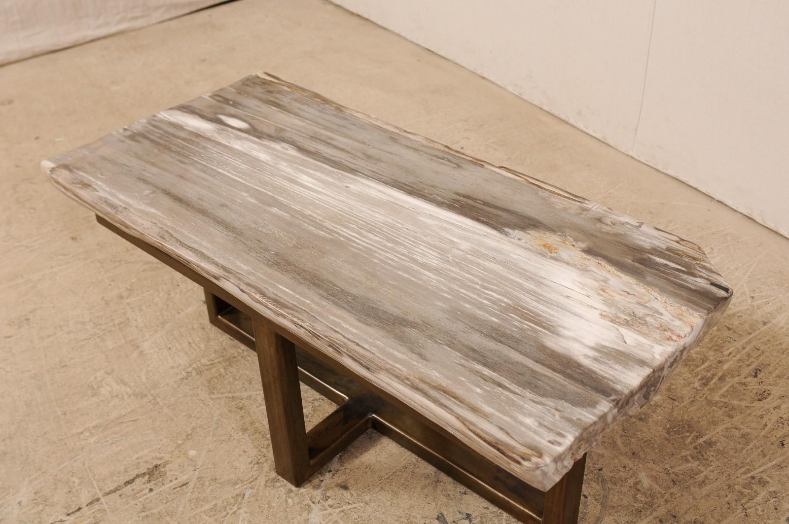 Polished Petrified Wood Coffee Table or Bench with Nice Modern Metal Base For Sale 2