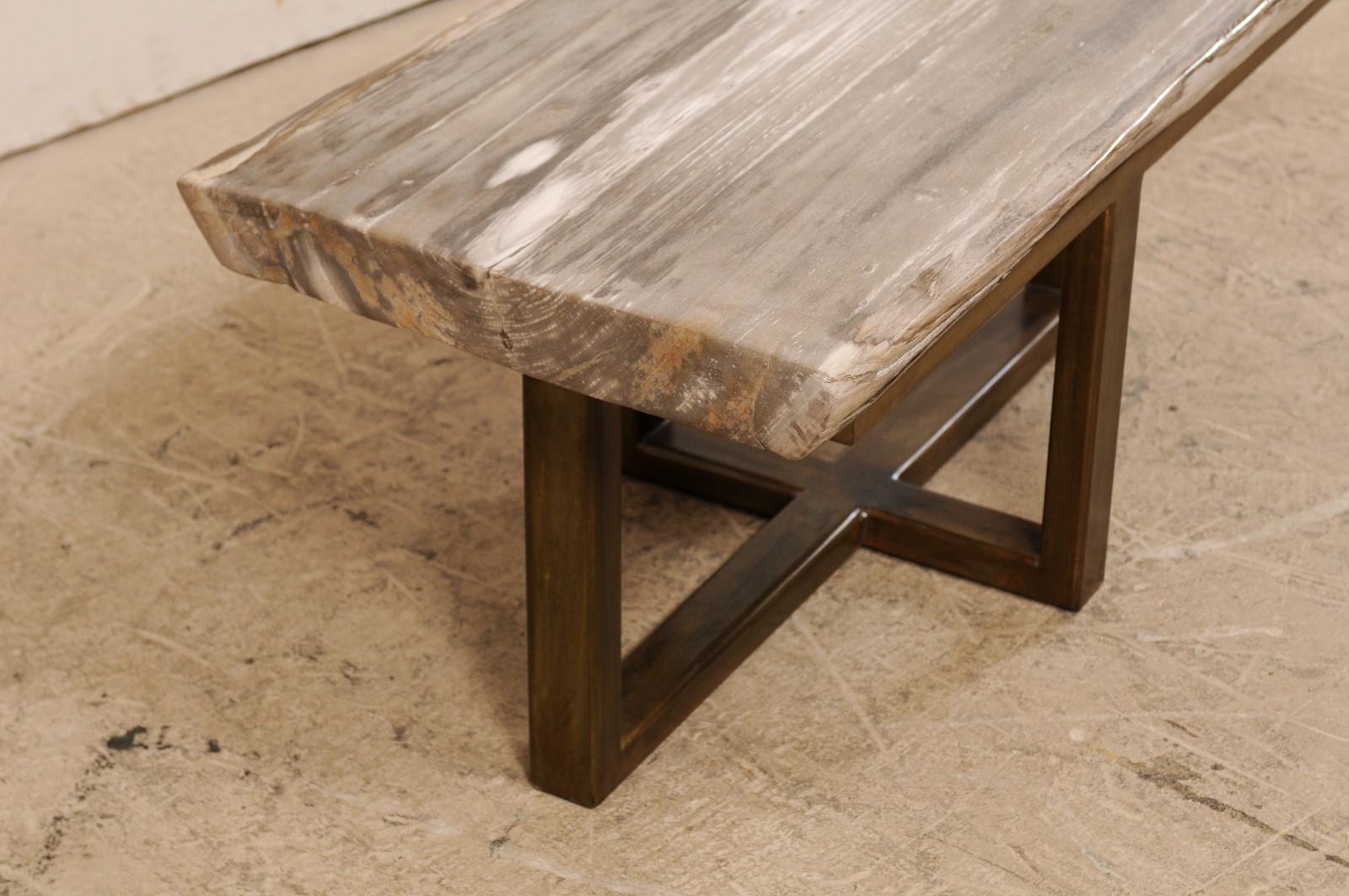 Polished Petrified Wood Coffee Table or Bench with Nice Modern Metal Base For Sale 3