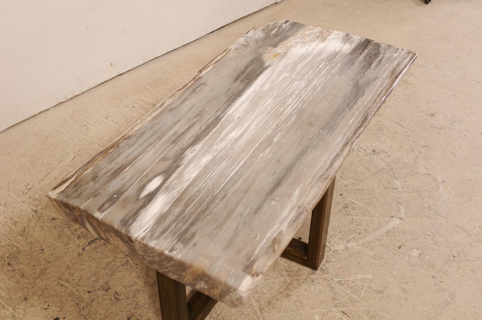 Polished Petrified Wood Coffee Table or Bench with Nice Modern Metal Base For Sale 4