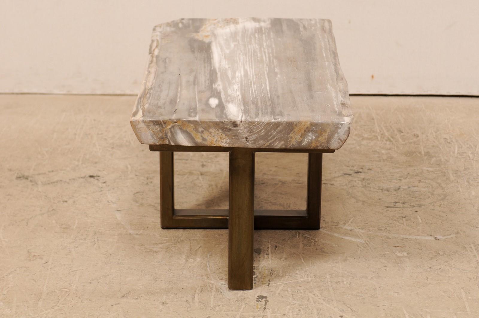 Polished Petrified Wood Coffee Table or Bench with Nice Modern Metal Base For Sale 5