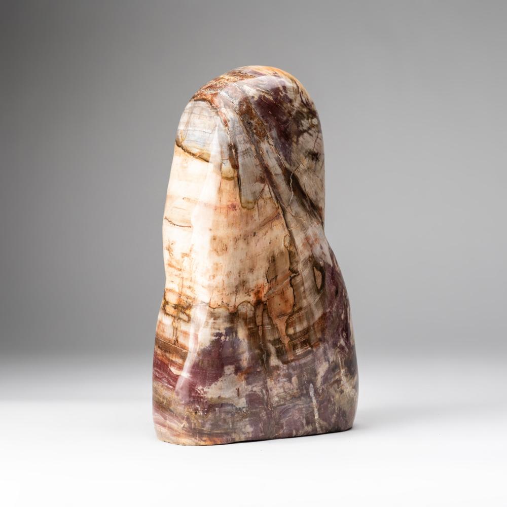 Beautiful hand polished petrified wood free-form from Madagascar. It has an amazing pattern with vibrant hues of brown, yellow, and orange. Perfect for use in any room around the home.

Fossilized Petrified Wood, which is also known as Agatized