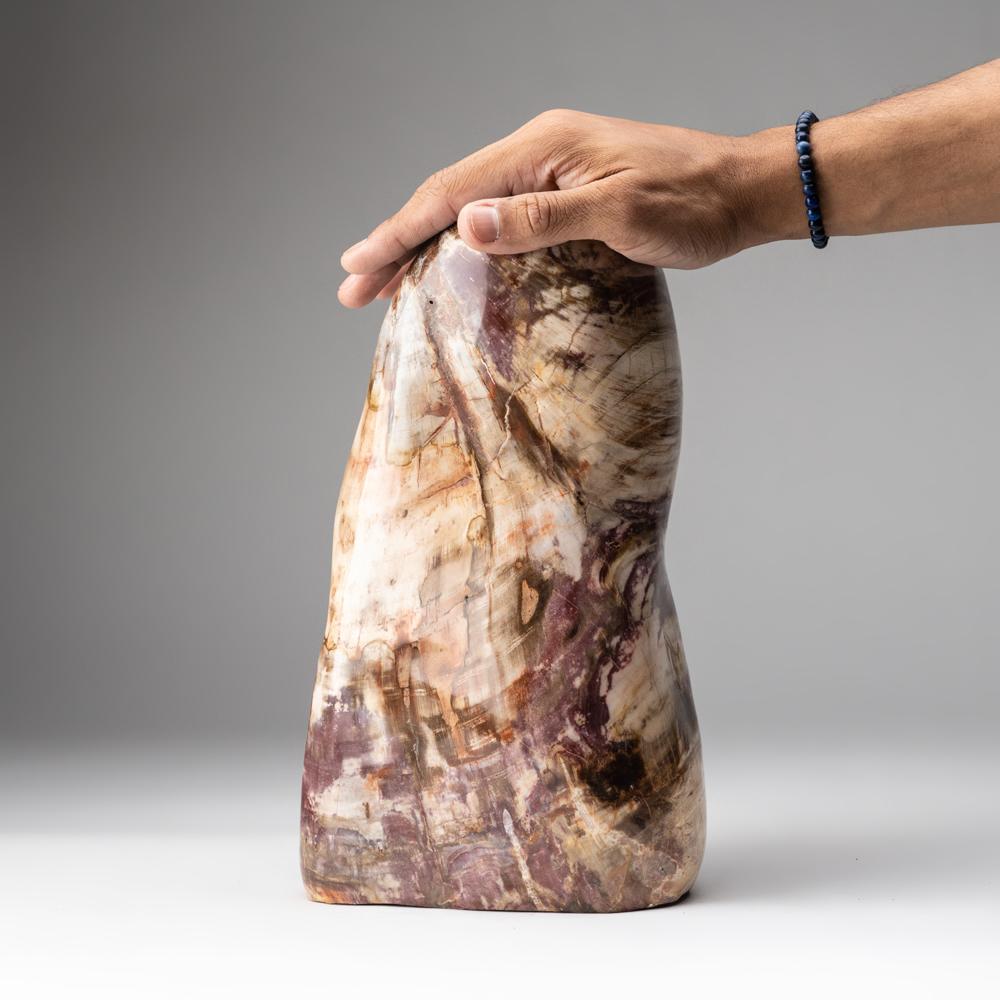 Polished Petrified Wood Freeform from Madagascar (19.5 lbs) In New Condition For Sale In New York, NY