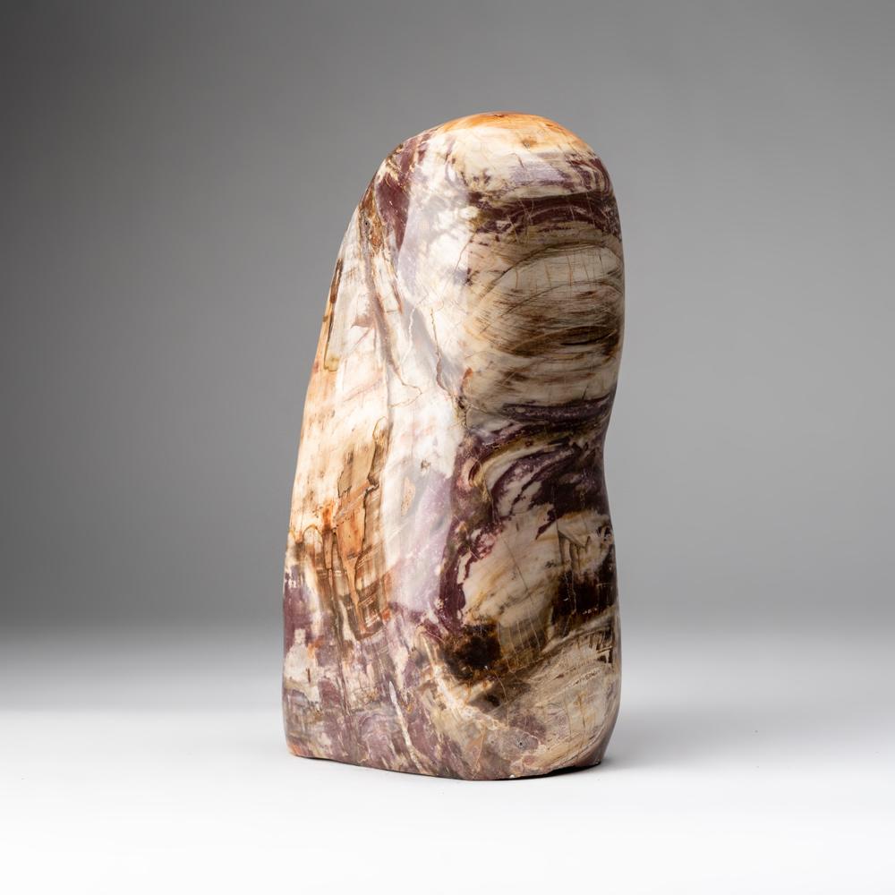 Polished Petrified Wood Freeform from Madagascar (19.5 lbs) For Sale 2