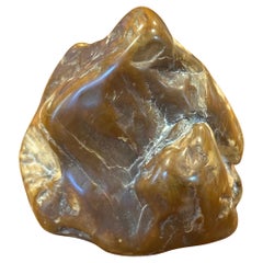 Poliertes versteinertes Wood Wood Briefbeschwerer