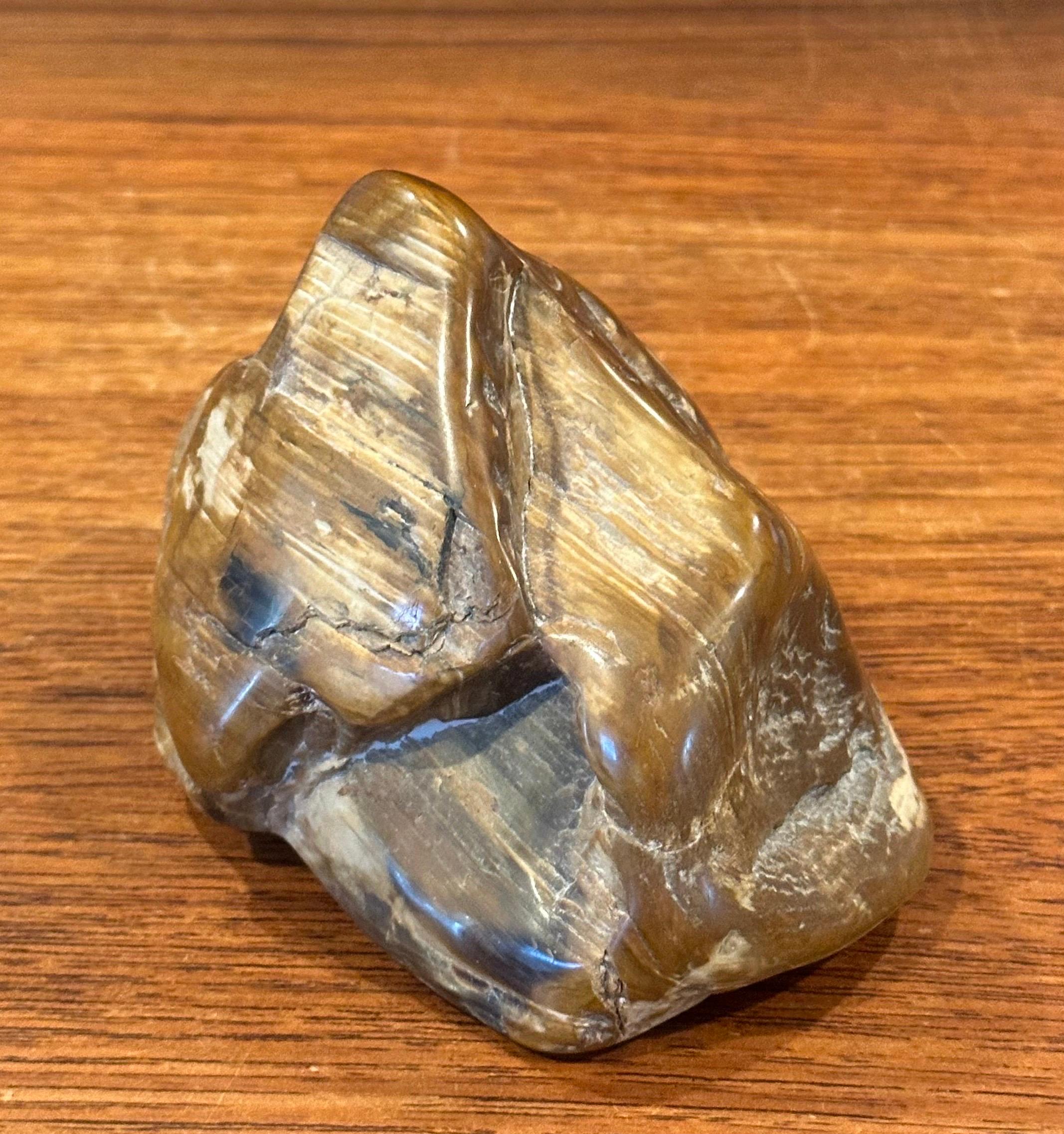 Poliertes versteinertes Wood Wood Briefbeschwerer im Zustand „Gut“ im Angebot in San Diego, CA