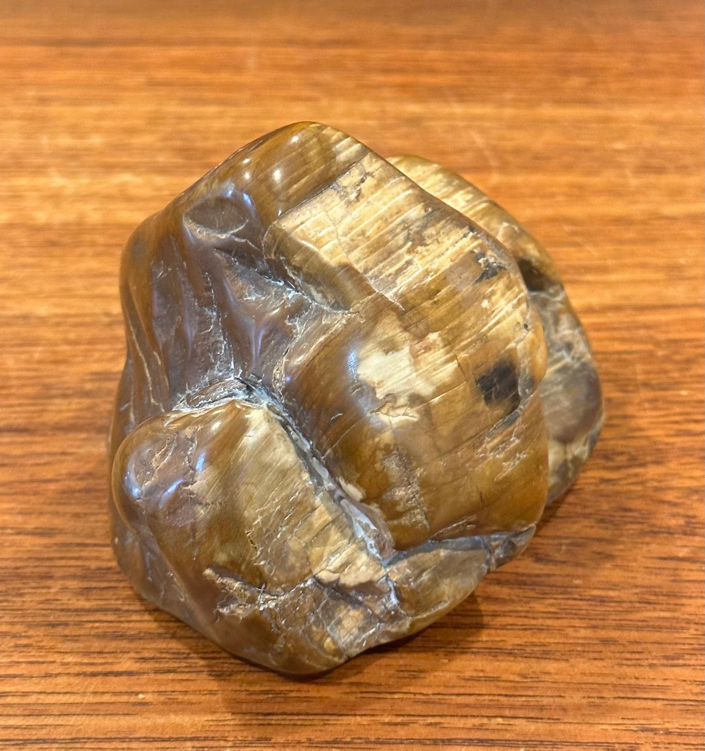 Poliertes versteinertes Wood Wood Briefbeschwerer (Versteinertes Holz) im Angebot