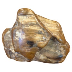Polished Petrified Wood Paperweight