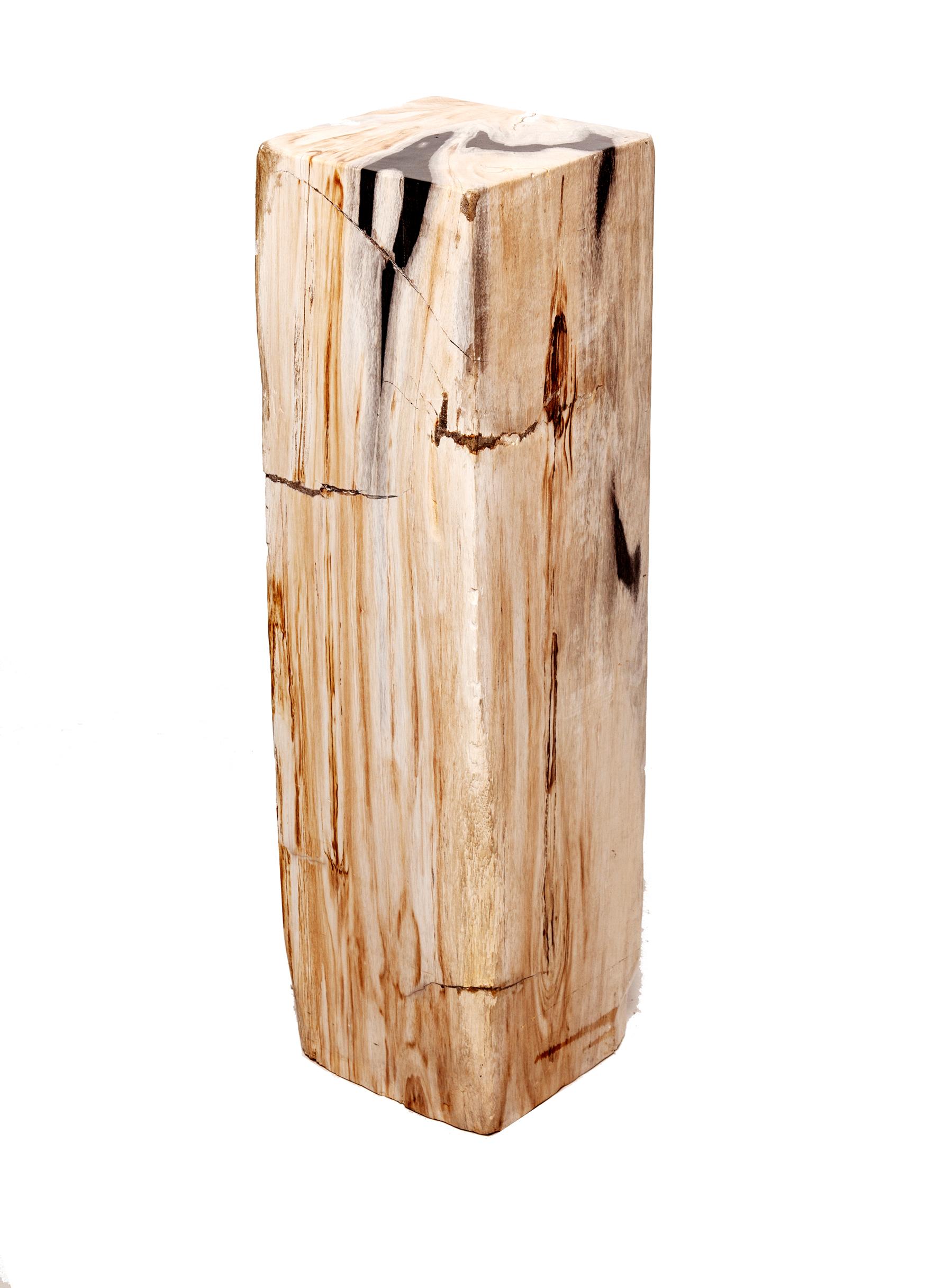 Polished petrified wood pedestal in lovely shades of sienna, white and touches of black veining. 
A dramatic piece of art that nature has made and ready to display your important art work.
Solid and heavy it is 36