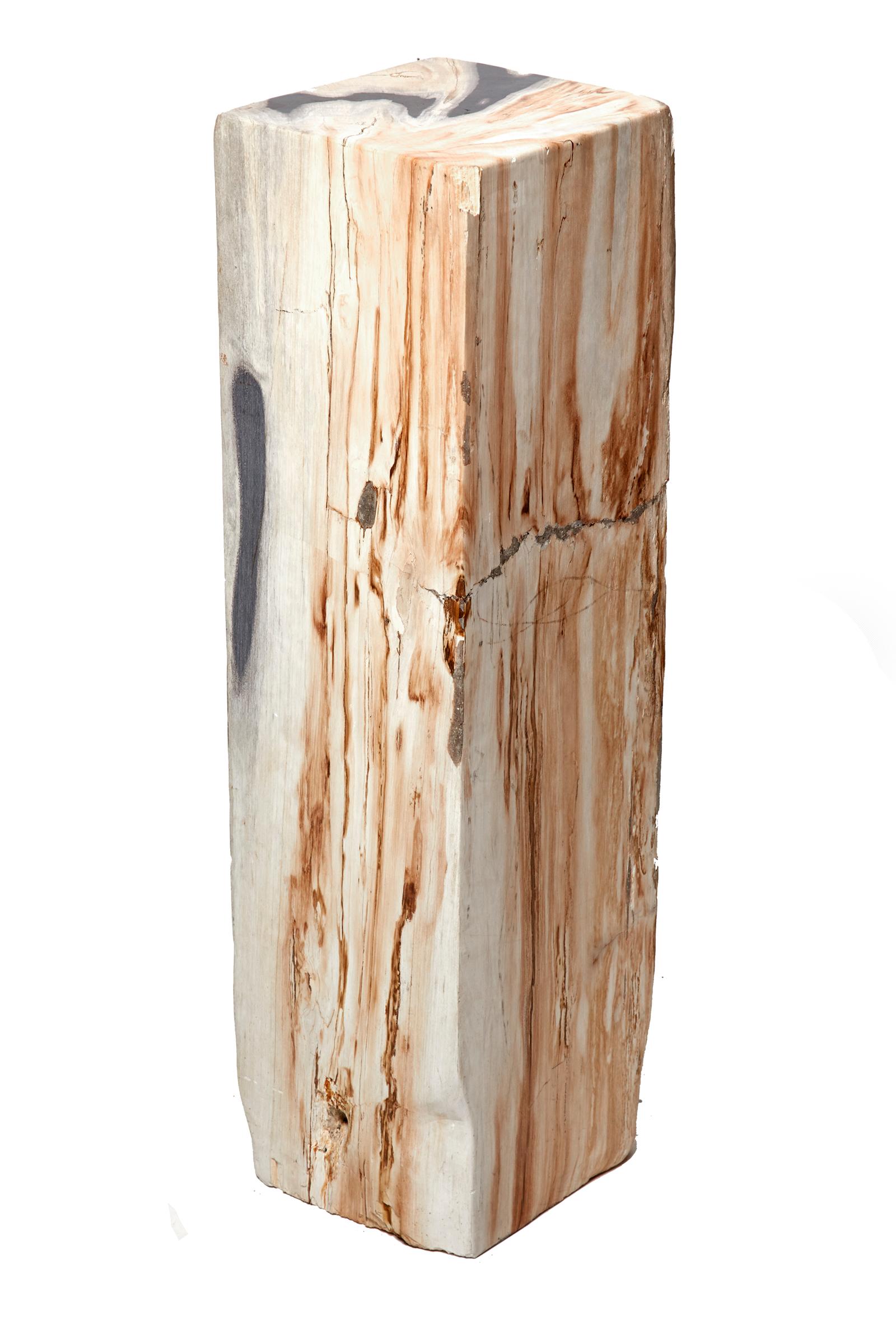 Unknown Polished Petrified Wood Pedestal