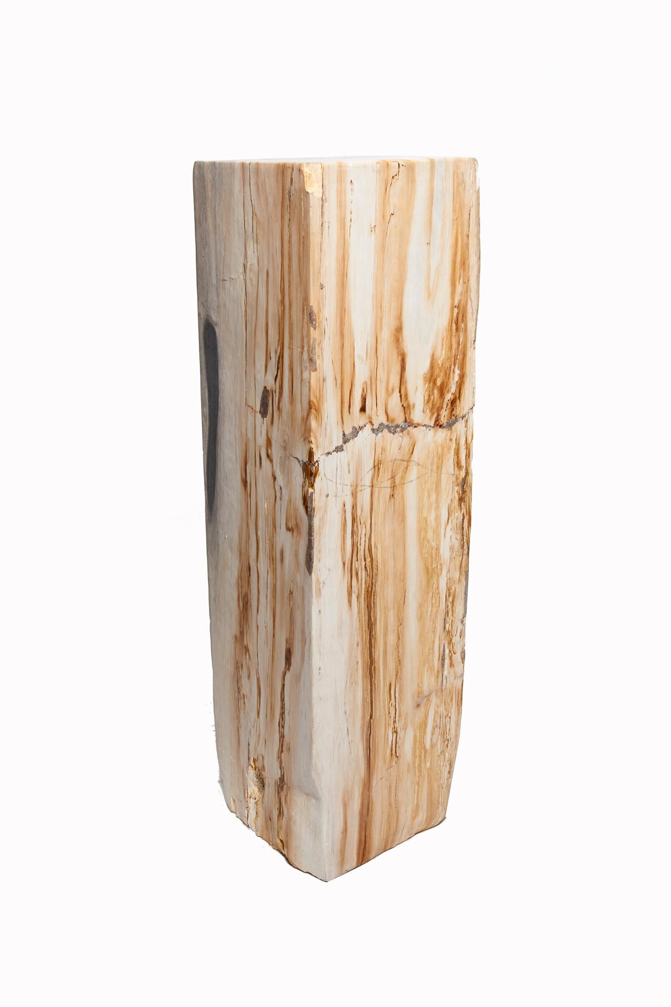 Polished Petrified Wood Pedestal In Good Condition In Plymouth, MA