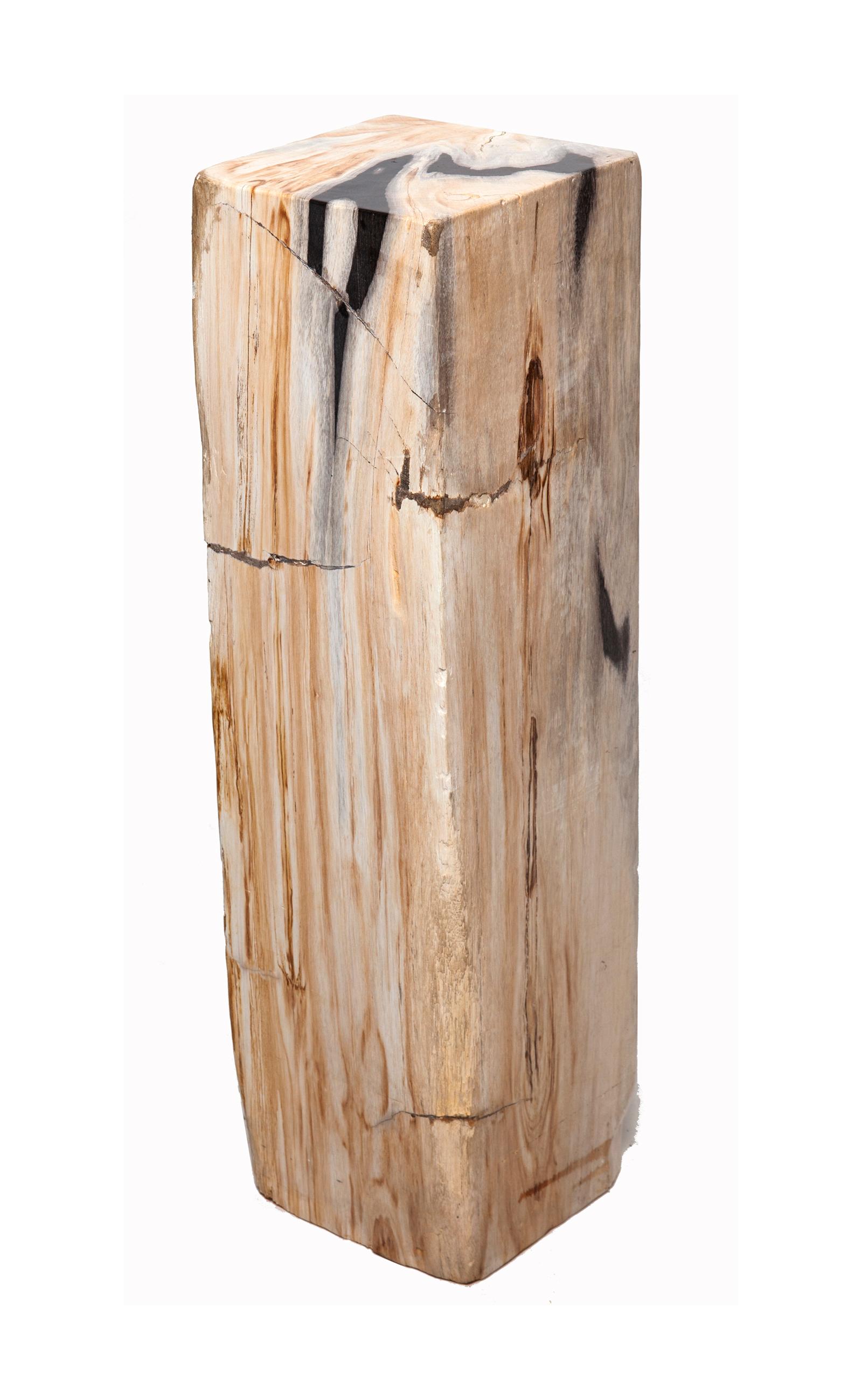 Contemporary Polished Petrified Wood Pedestal