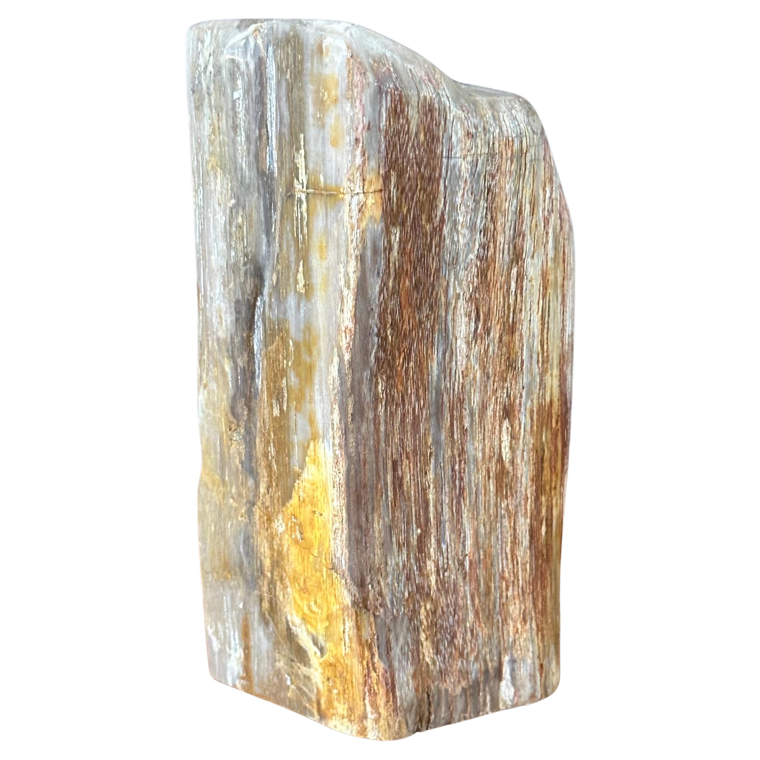 Polished Petrified Wood Sculpture For Sale 5