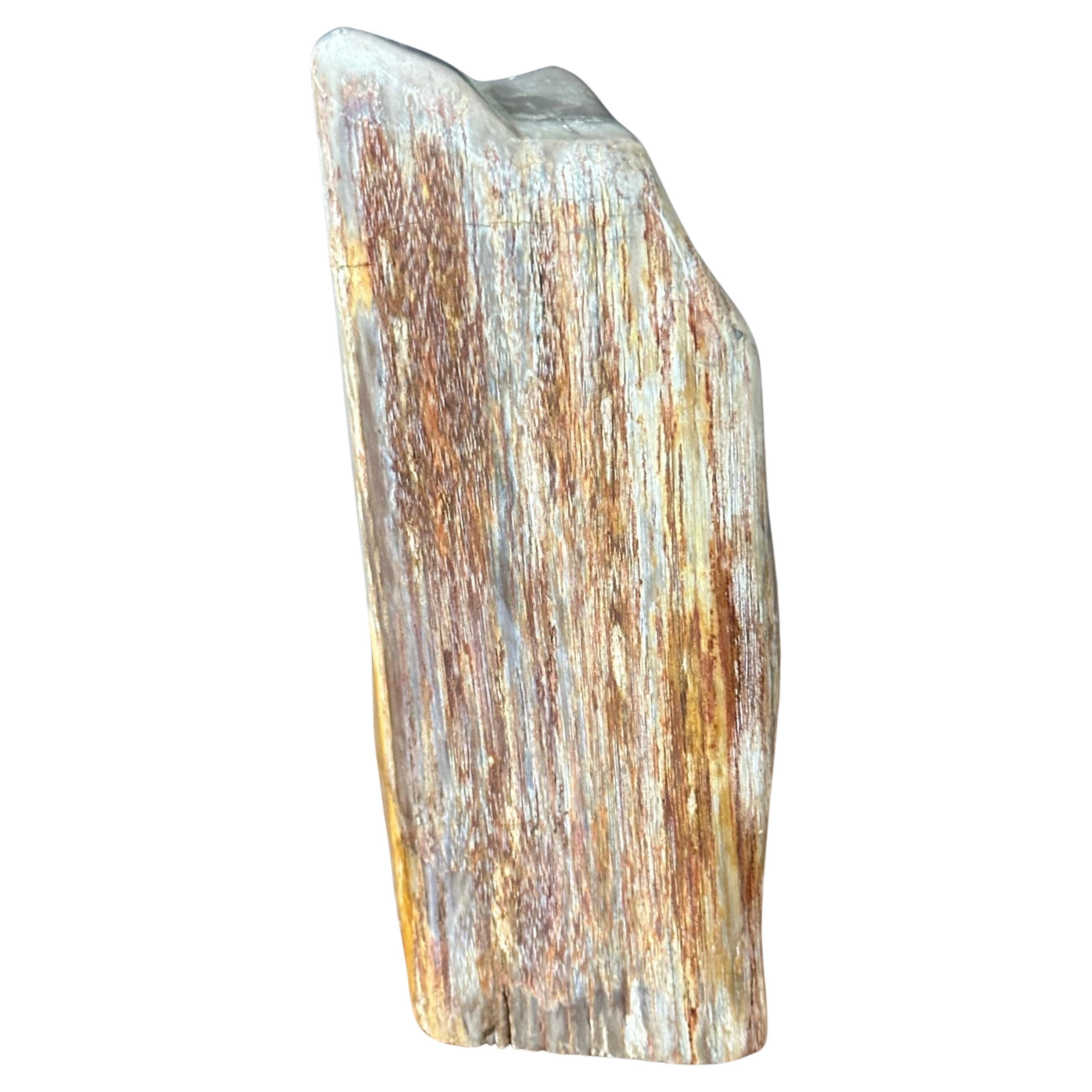 A really nice polished petrified wood sculpture, circa pre-history.  Brightly colored tan, brown and cream tones with naturally formed patterns caused by fossilization over millions of years. Finished with a highly polished surface, the exterior