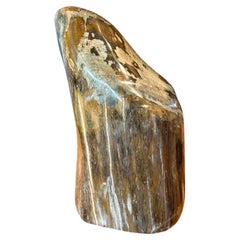 Polished Petrified Wood Sculpture