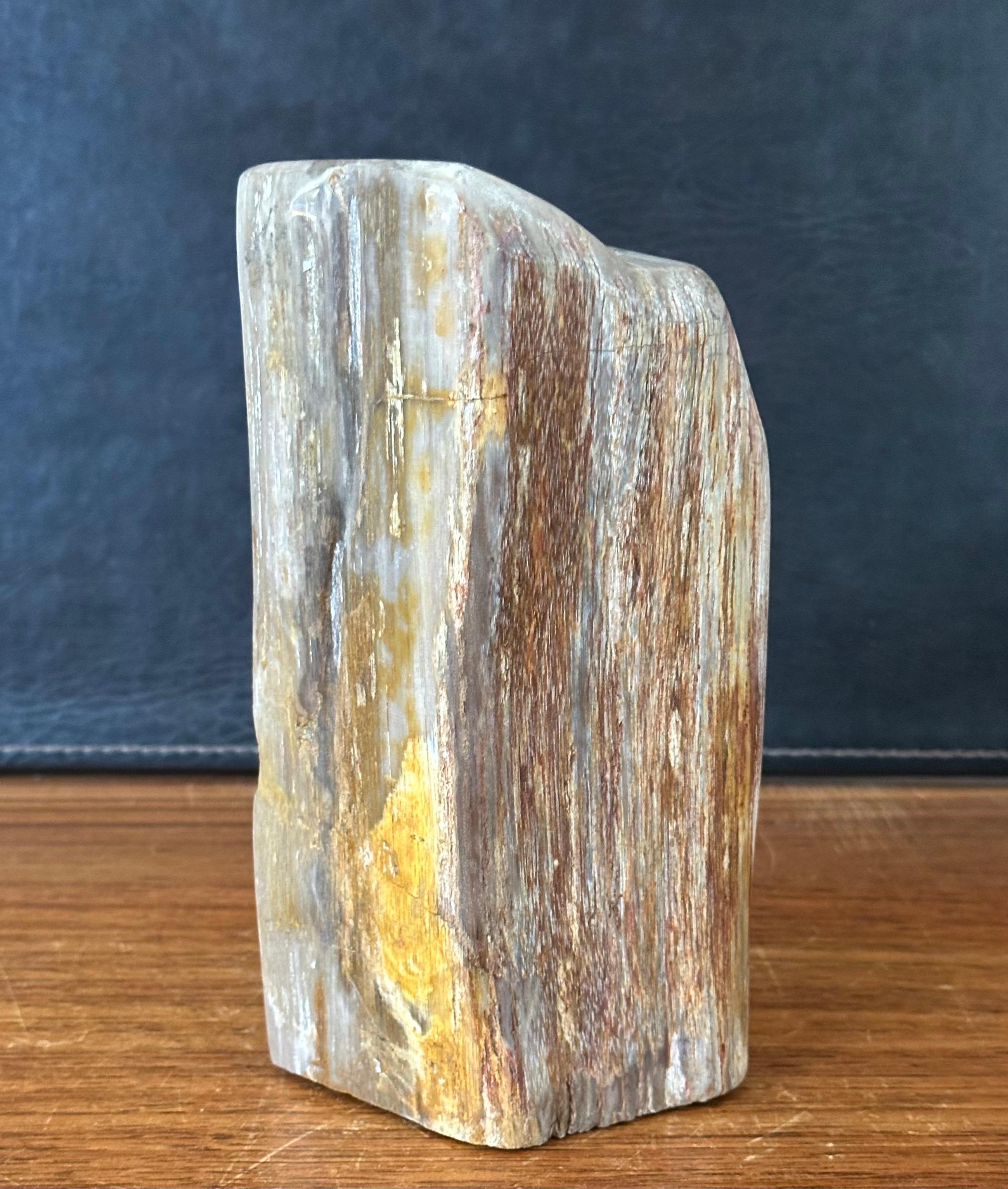 Organic Modern Polished Petrified Wood Sculpture For Sale