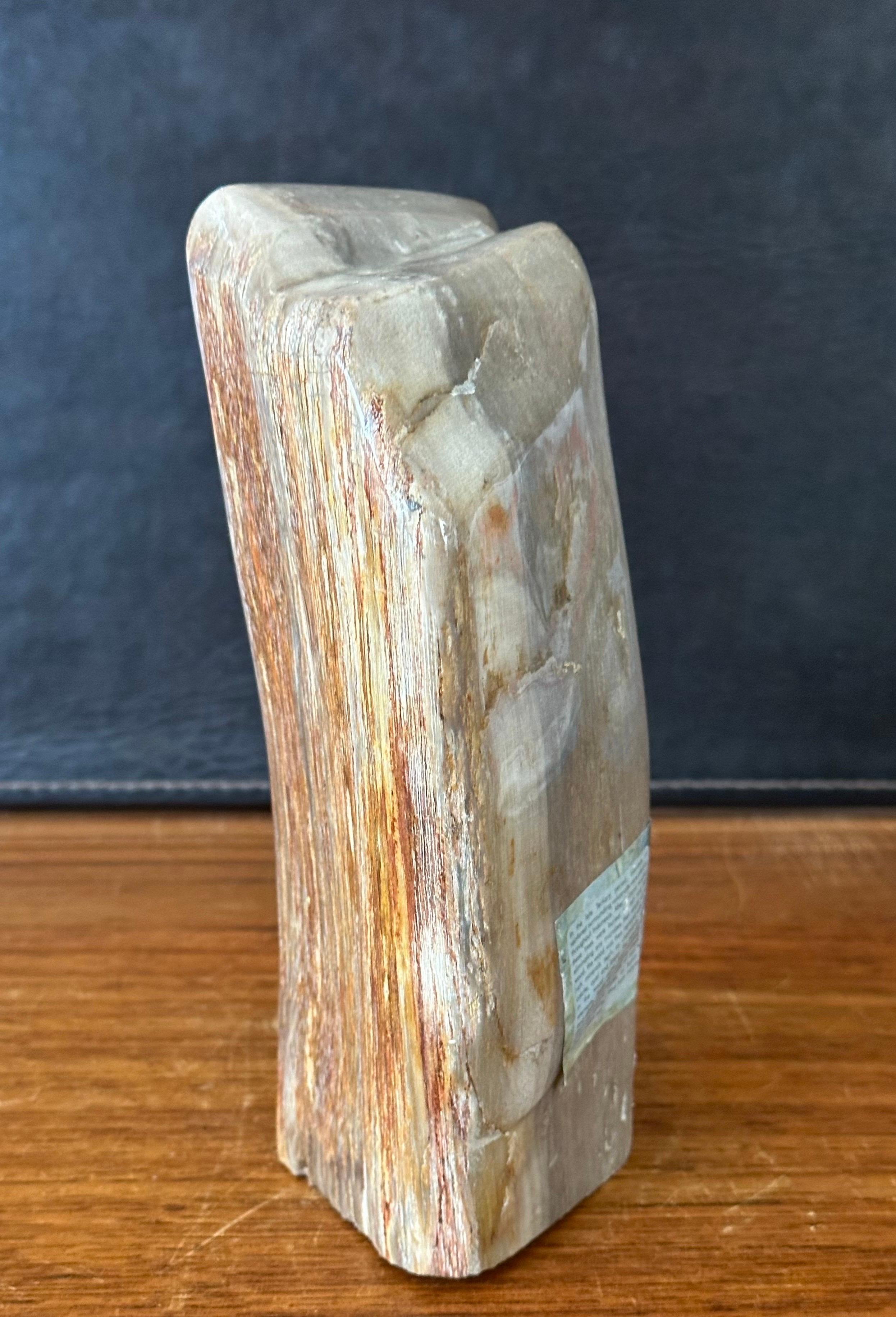 Unknown Polished Petrified Wood Sculpture For Sale