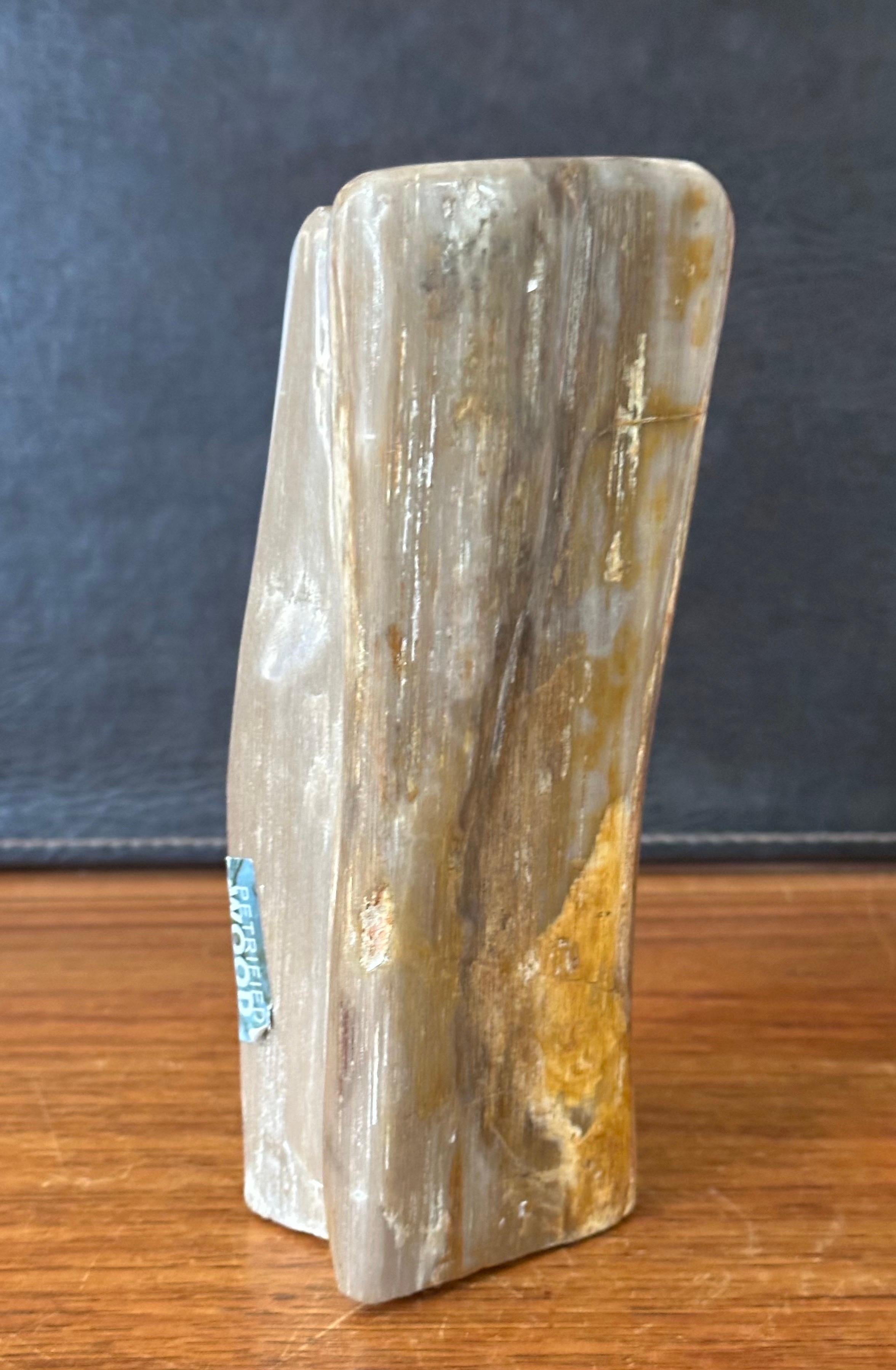 Polished Petrified Wood Sculpture In Good Condition For Sale In San Diego, CA