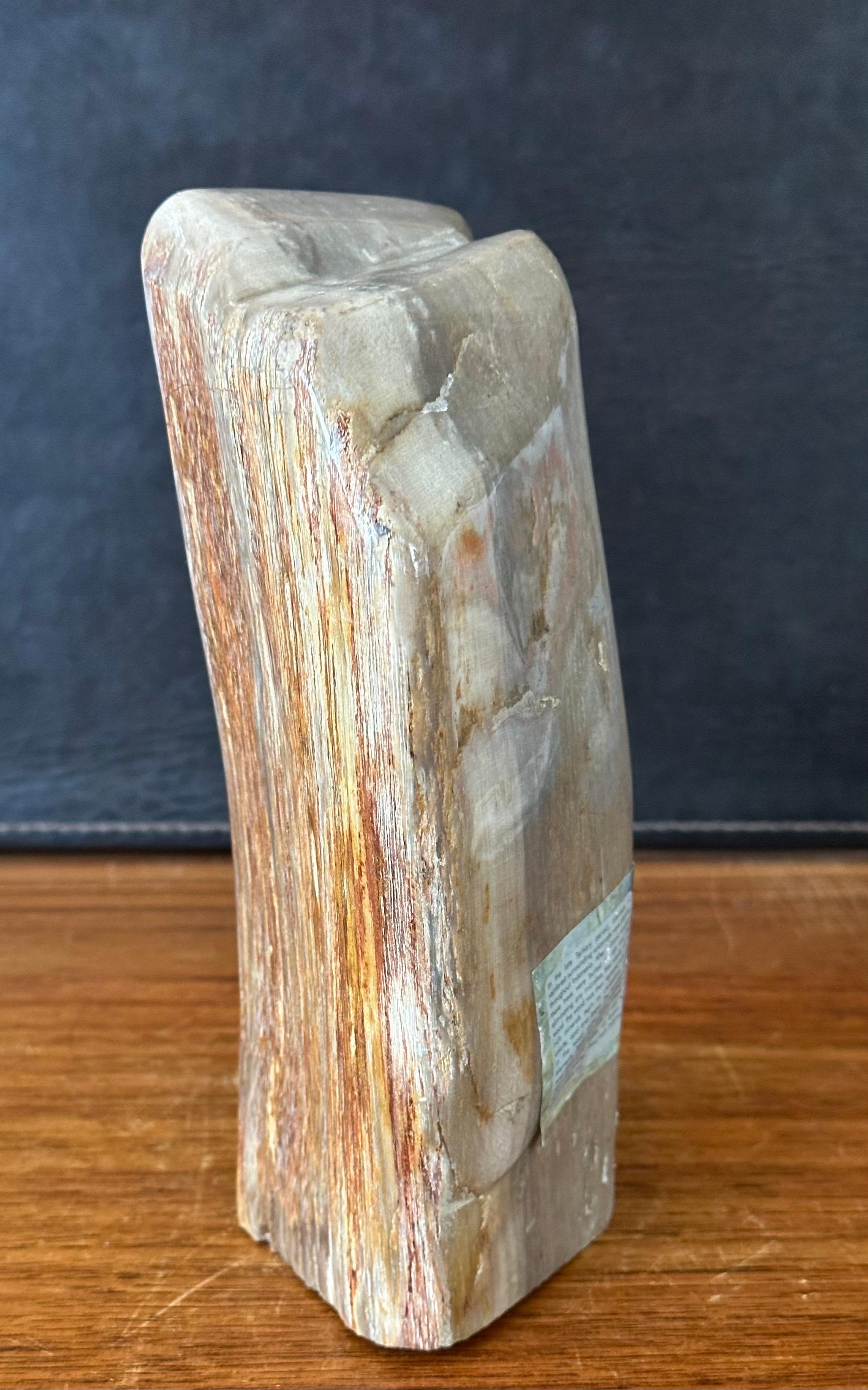 18th Century and Earlier Polished Petrified Wood Sculpture For Sale
