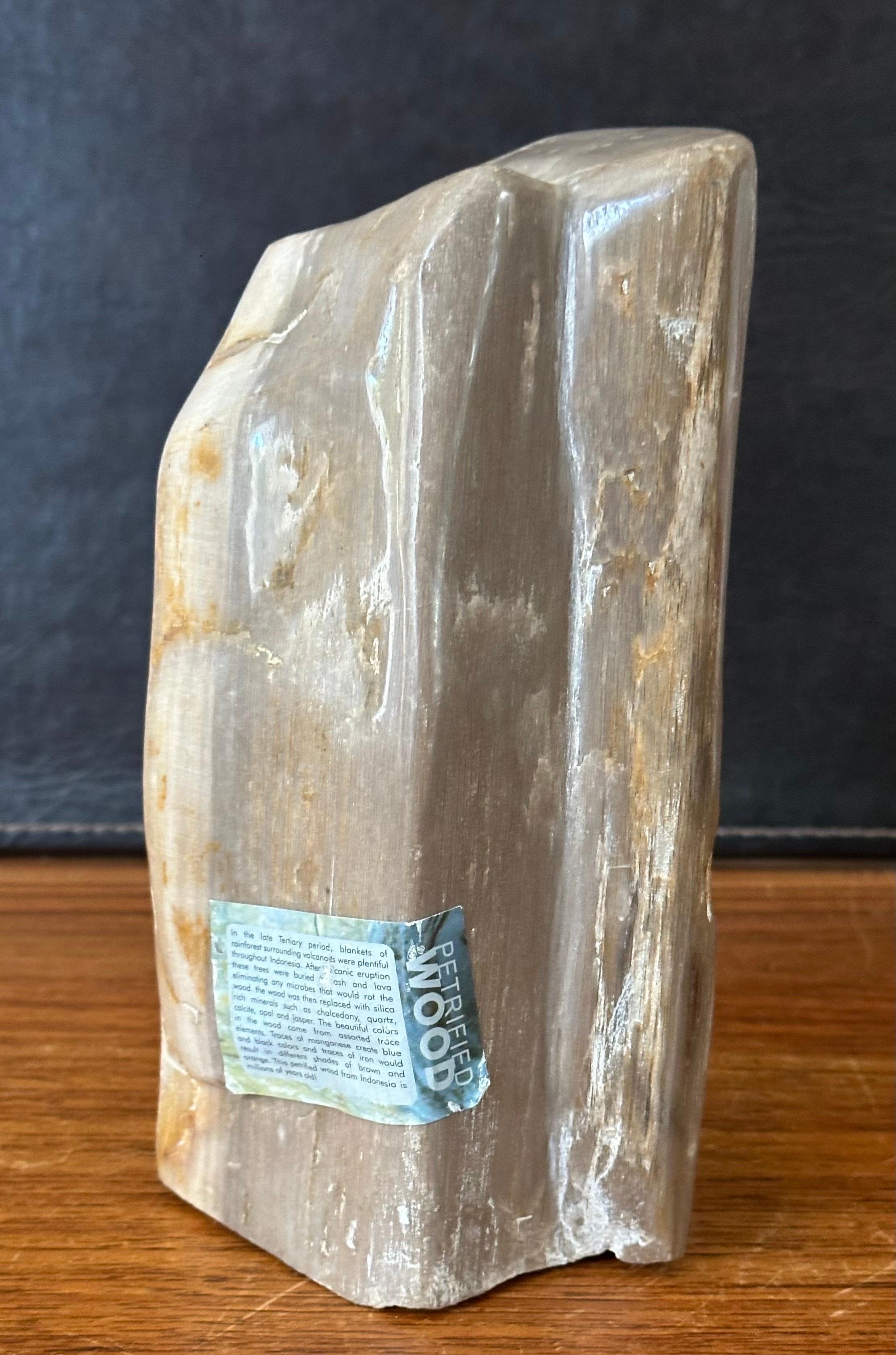 Polished Petrified Wood Sculpture For Sale 2