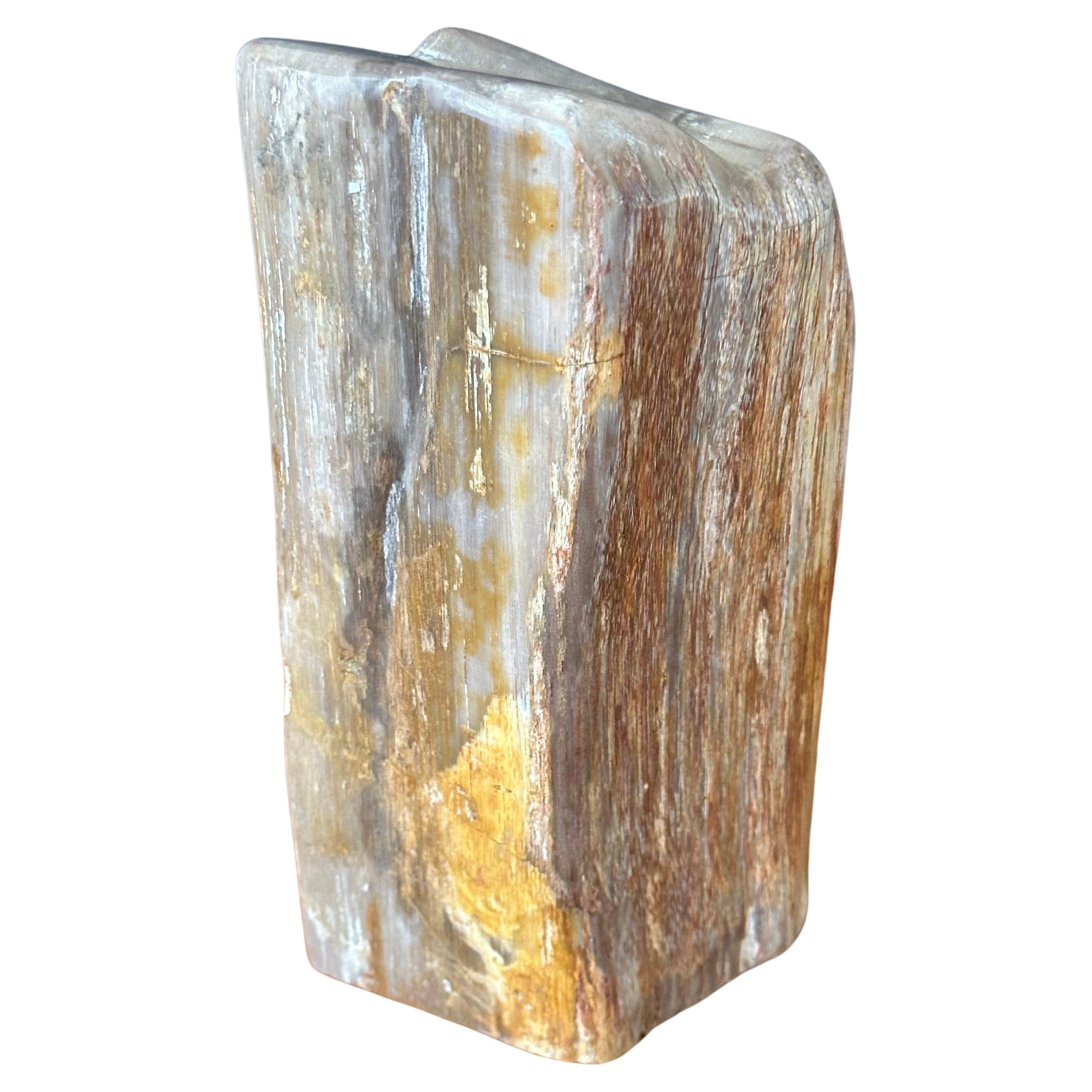 Polished Petrified Wood Sculpture For Sale