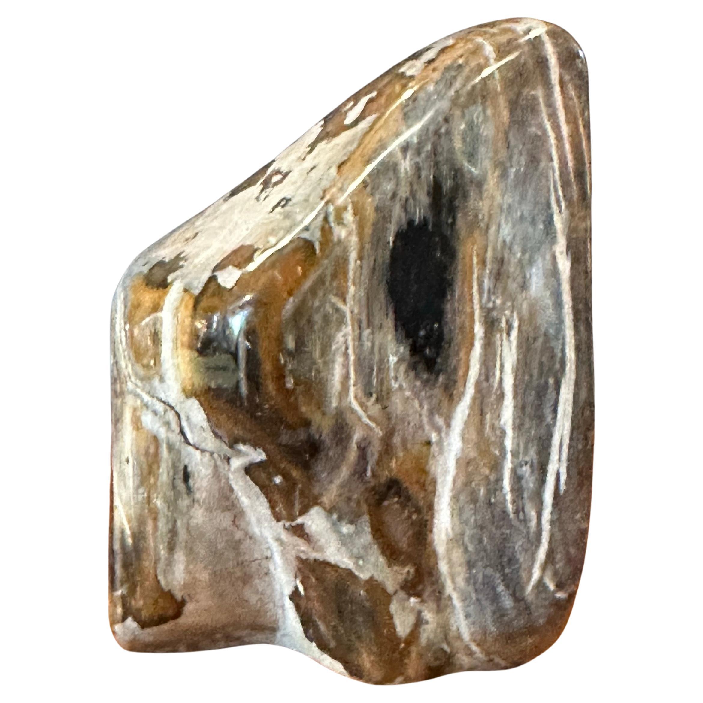 Polierte versteinerte Wood Wood-Skulptur