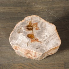 Polished Petrified Wood Side Table/Stool w/ Agate Inclusions & Natural Graining