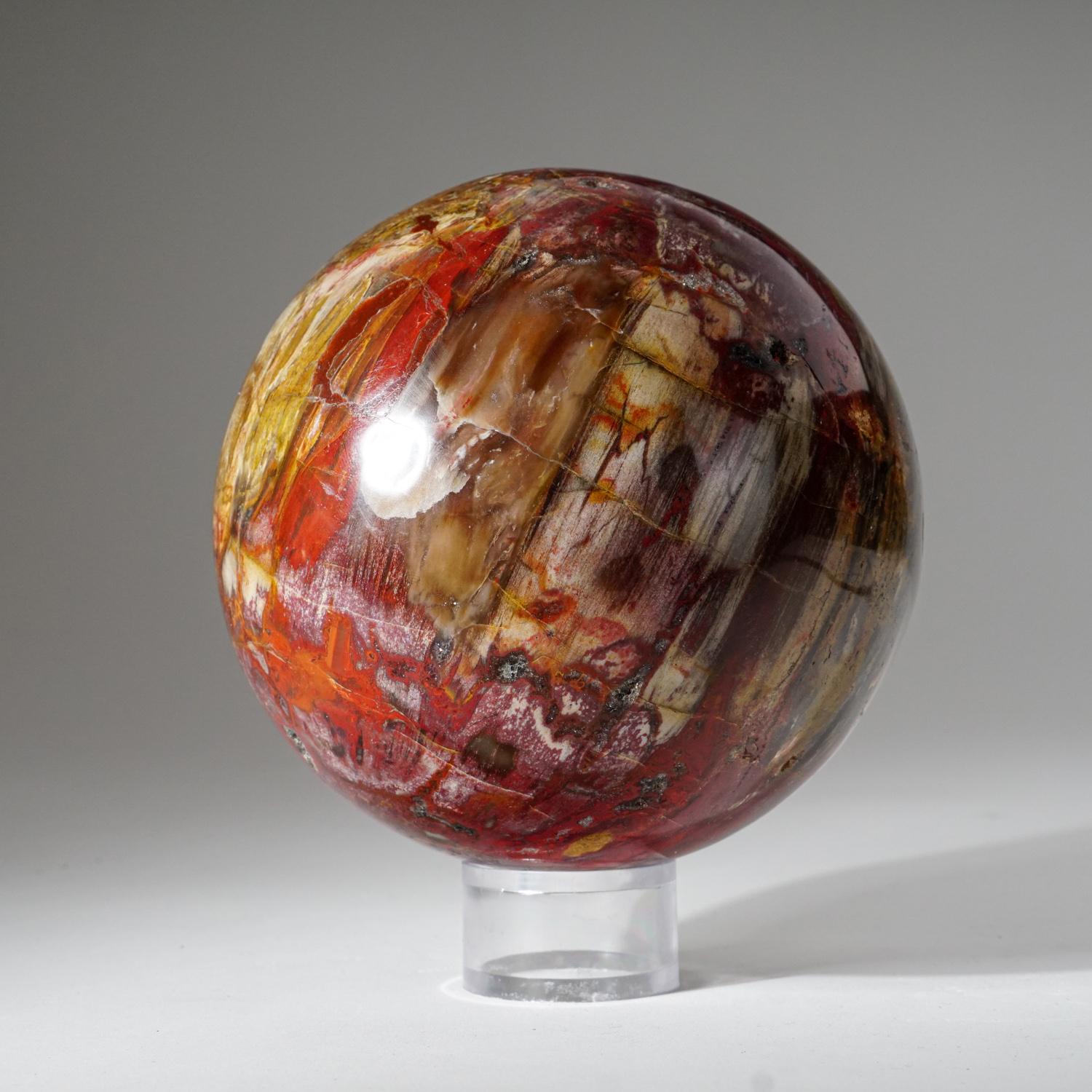 Beautiful hand polished petrified wood sphere from Madagascar. It has an amazing pattern with vibrant hues of brown, yellow, and orange. 

Fossilized Petrified Wood, which is also known as Agatized Wood, forms when a tree has died and silicon