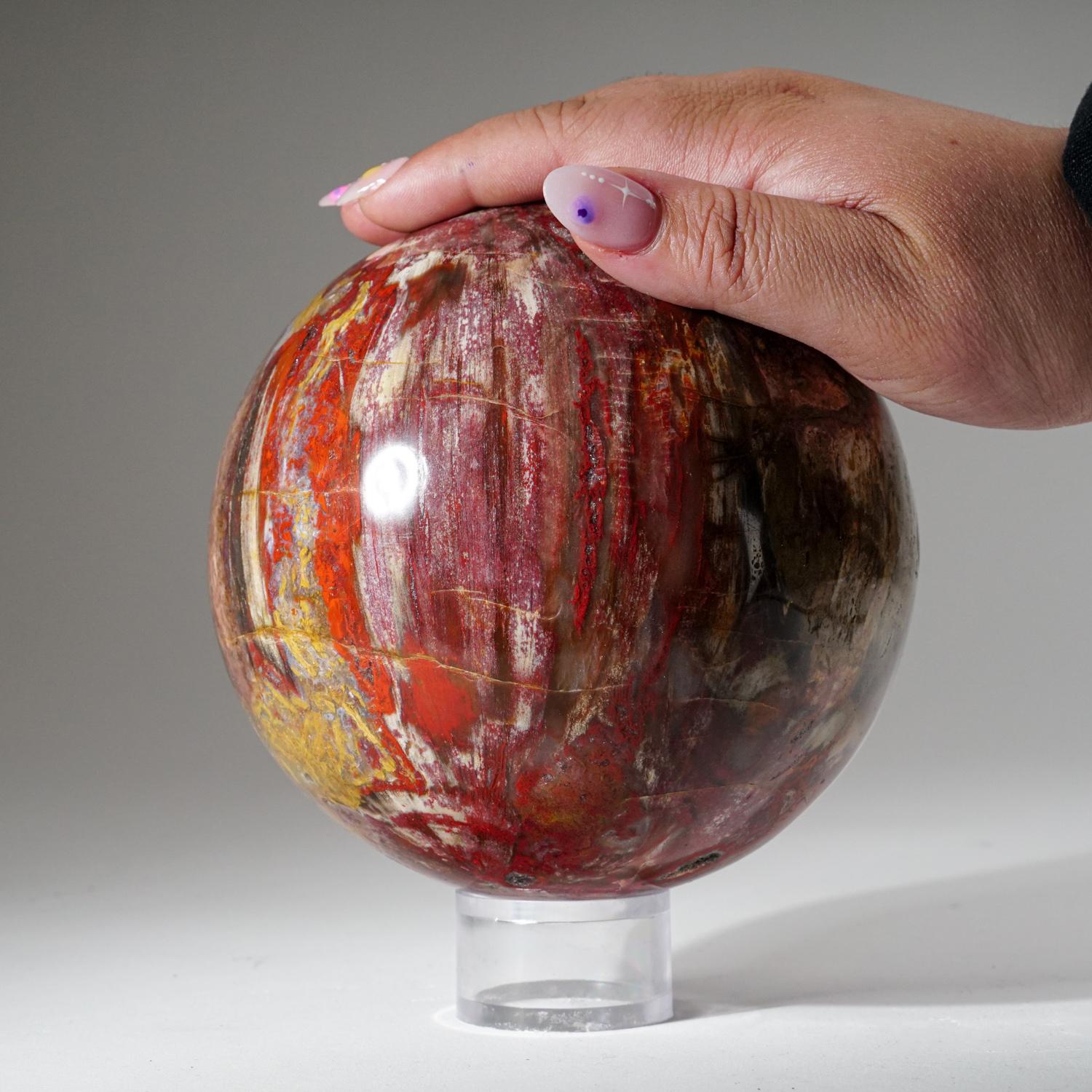 Polished Petrified Wood Sphere from Madagascar (5.5