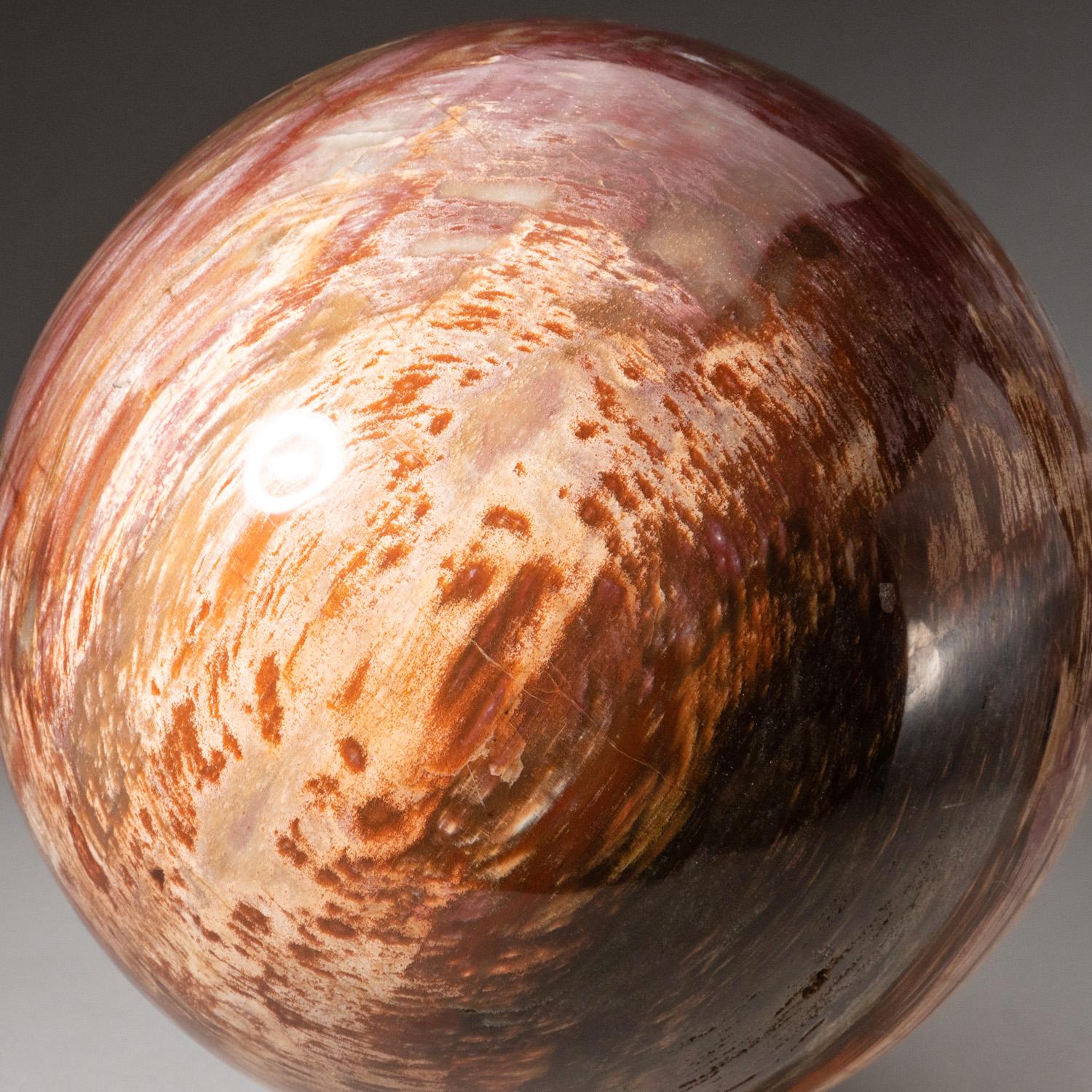 Top quality, center-of-a-choice petrified wood sphere from Madagascar. This incredible specimen is shaped from a solid piece of petrified wood. Hand-polished to a mirrored finish. It has an amazing pattern with vibrant hues of brown, red, and
