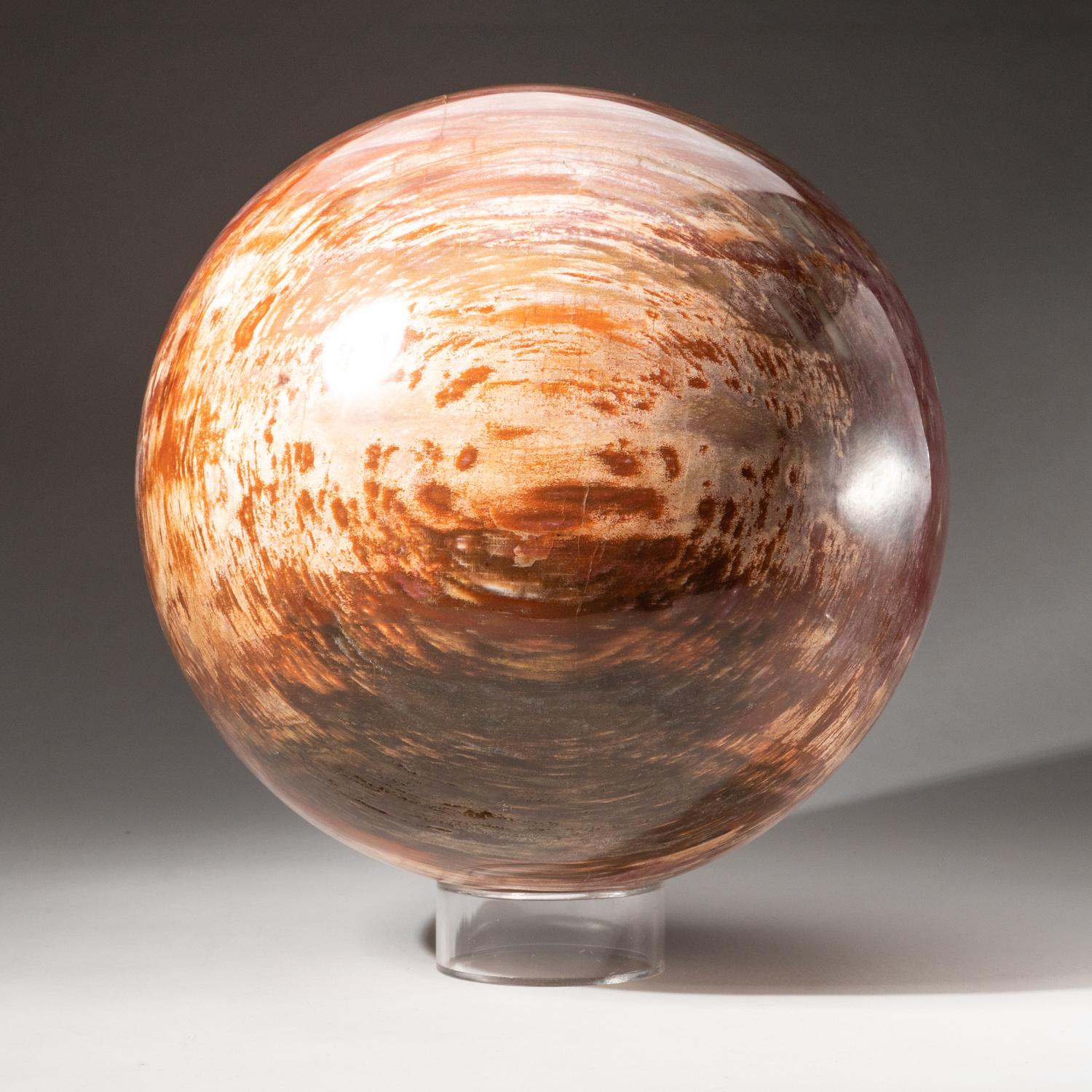 Contemporary Polished Petrified Wood Sphere from Madagascar (8.5
