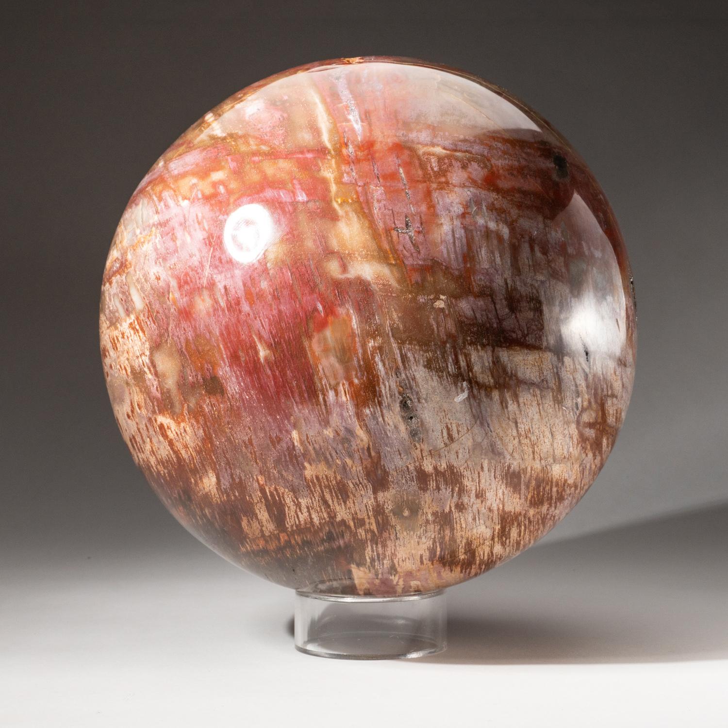 Polished Petrified Wood Sphere from Madagascar (8.5