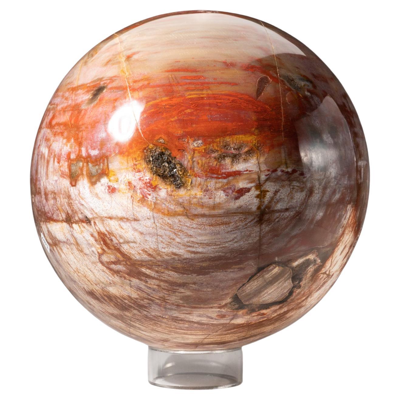 Polished Petrified Wood Sphere from Madagascar (8.5", 31.5 lbs) For Sale