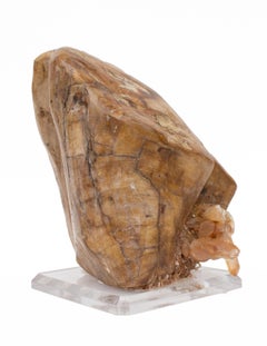 Poliertes versteinertes Holz mit einem Mandarinenquarz-Cluster auf einem Lucite-Sockel