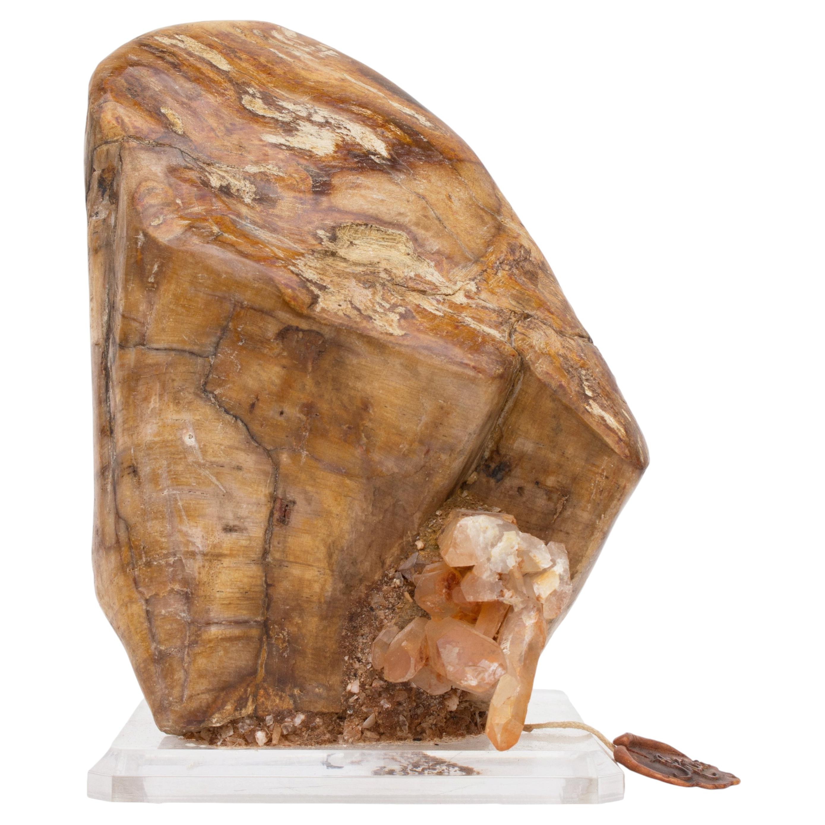 Polished Petrified Wood with Tangerine Quartz Cluster on a Lucite Base For Sale