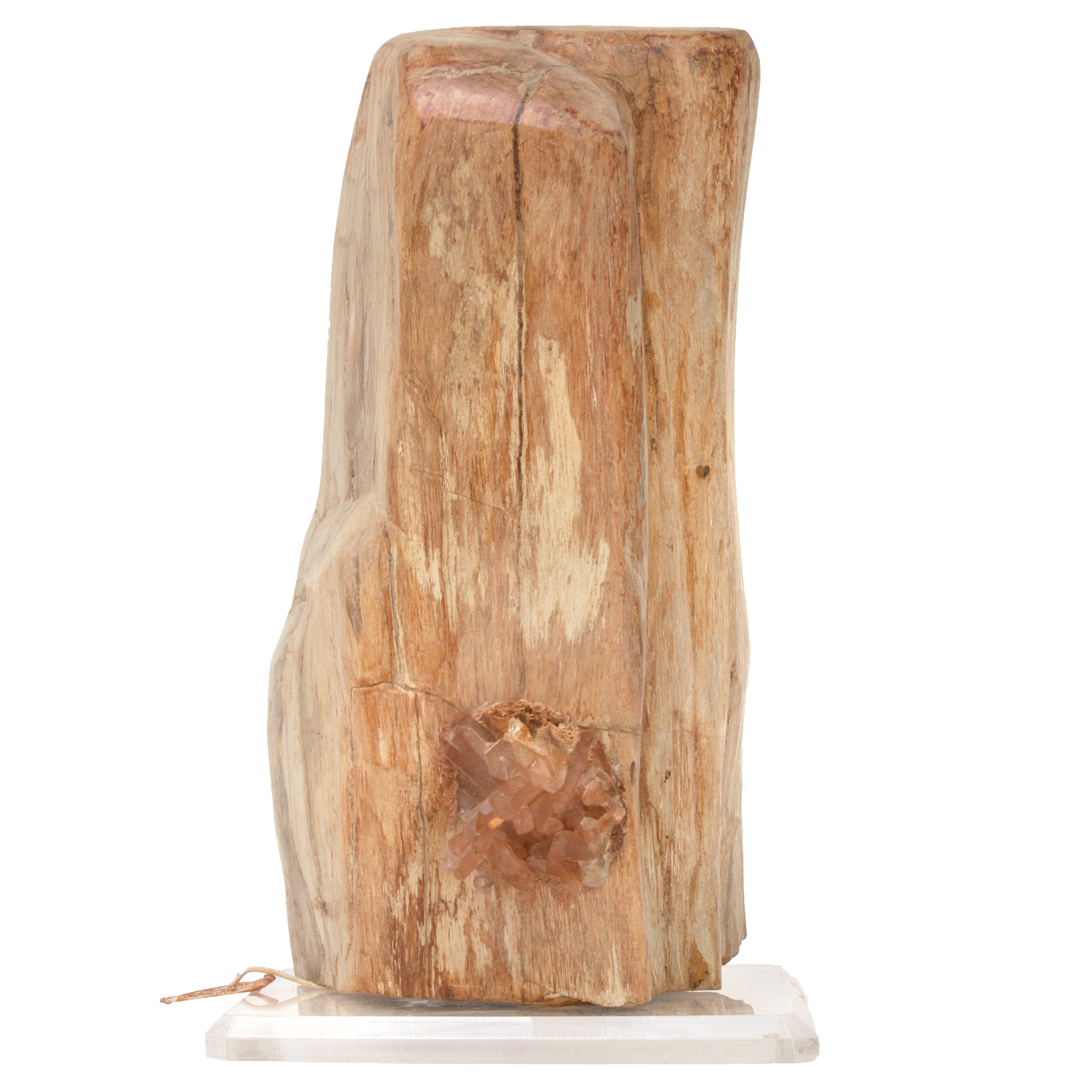 Polished Petrified Wood with Tangerine Quartz on a Lucite Base