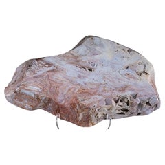 Polished Red "Crazy Lace" Agate Slab with Acrylic Display Stand '12.2 lbs'