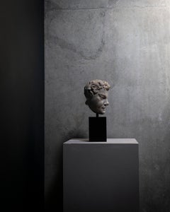 Polished Roman Marble Head of a Satyr