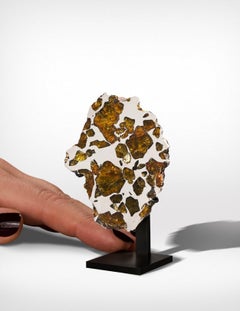 Polished Section of Imilac Meteorite with Amber-coloured Olivine Crystals