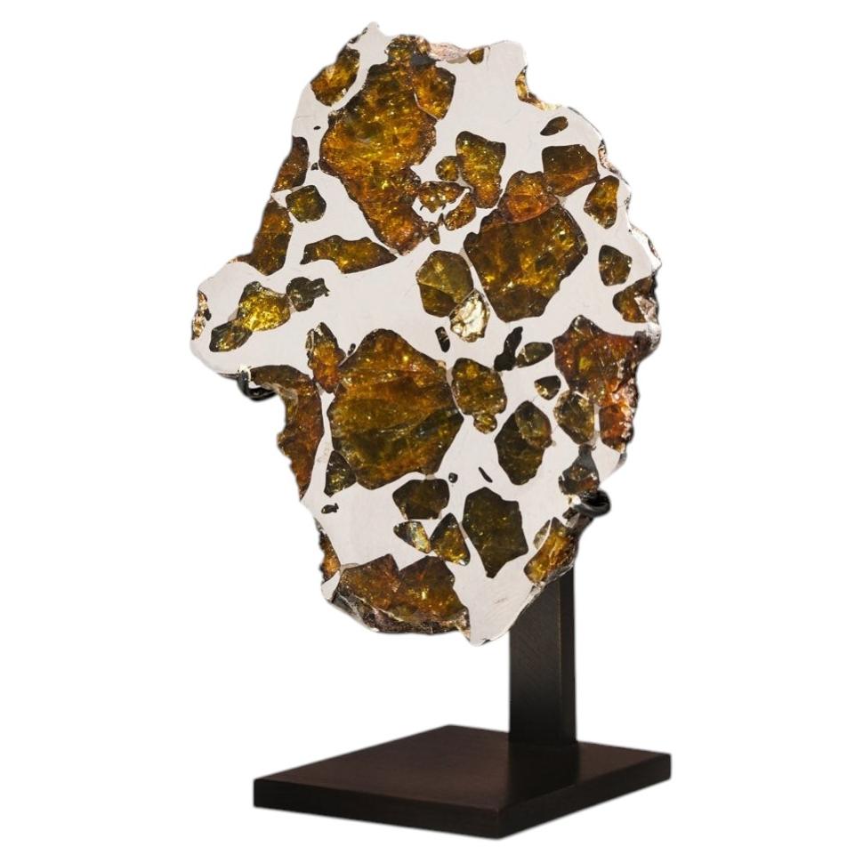 Polished Section of Imilac Meteorite with Amber-coloured Olivine Crystals