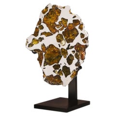 Polished Section of Imilac Meteorite with Amber-coloured Olivine Crystals