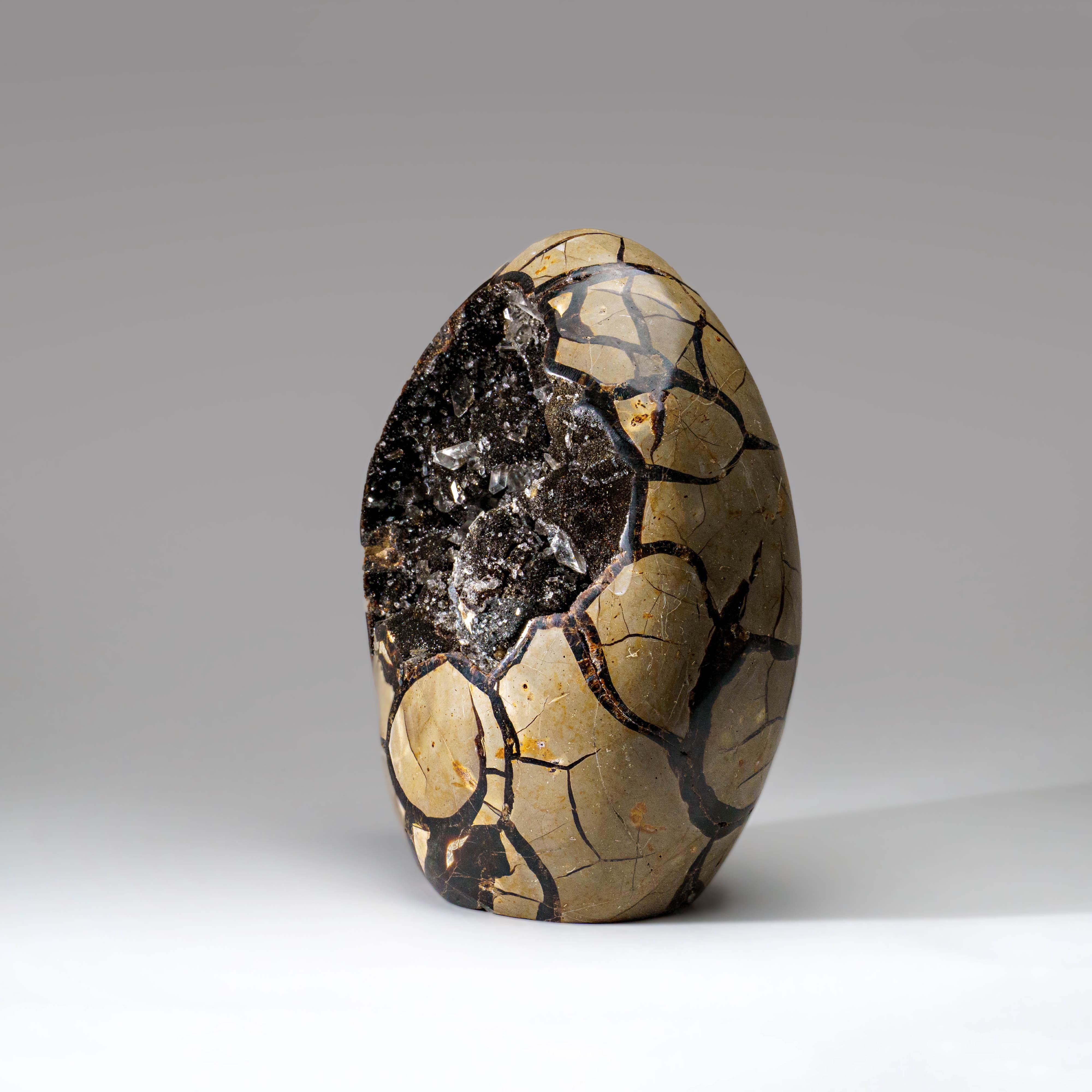 This 18 pound top quality Septarian Druzy Geode Egg from Madagascar features an exposed area lined with dazzling druzy quartz crystals, as well as a polished back side, providing a high reflective surface. Septarian is a combination of yellow
