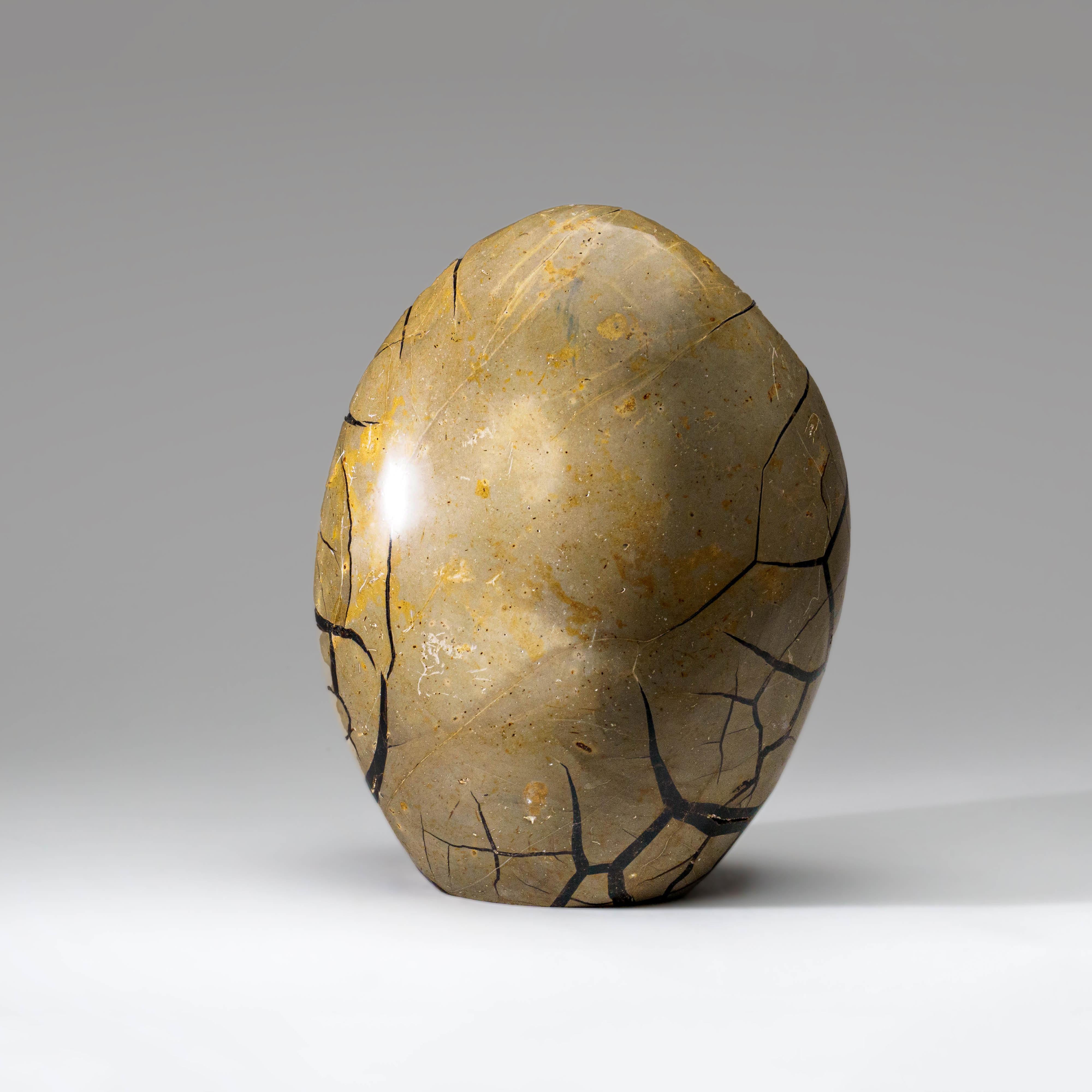 Malagasy Polished Septarian Druzy Geode Egg from Madagascar (18 lbs) For Sale