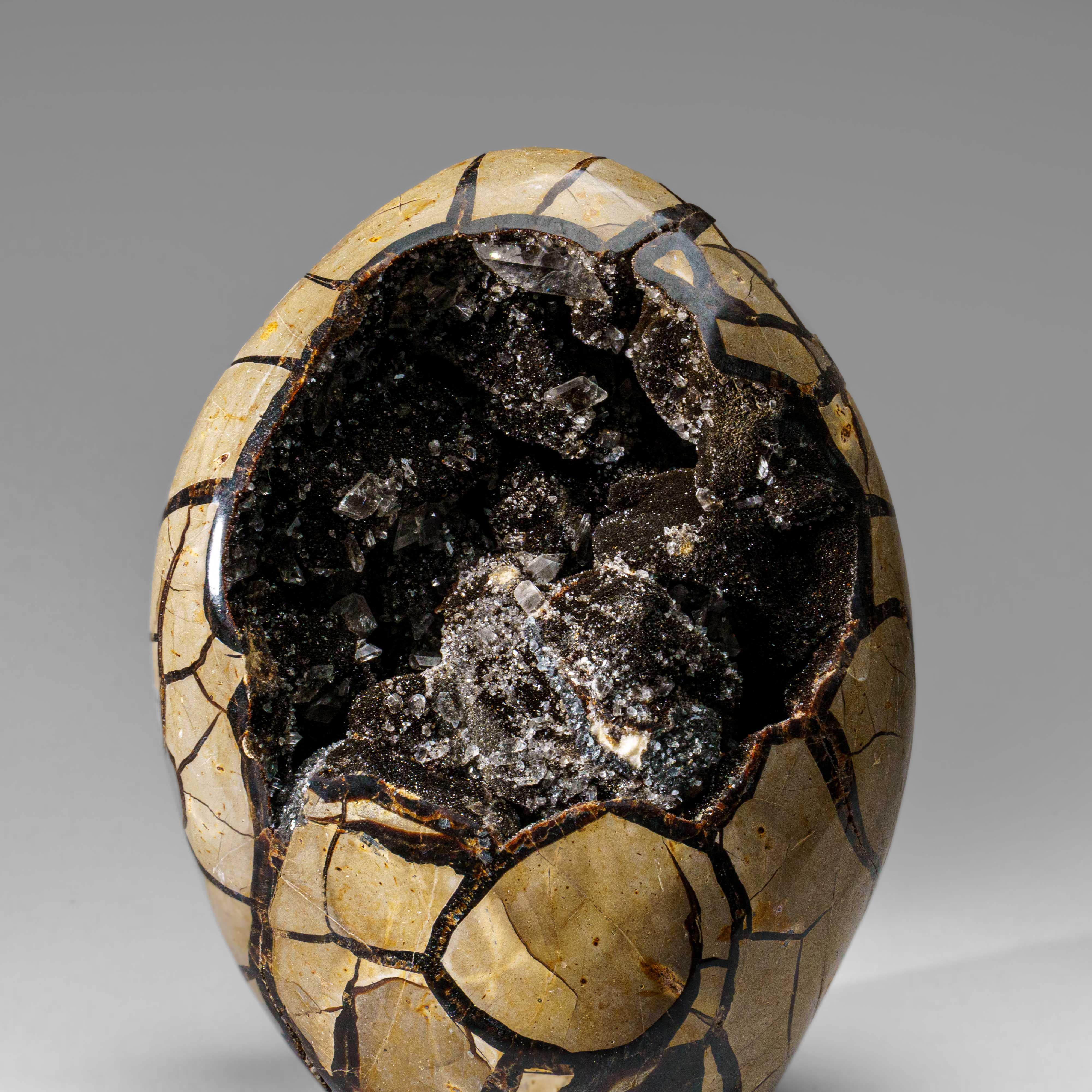 Polished Septarian Druzy Geode Egg from Madagascar (18 lbs) In New Condition For Sale In New York, NY