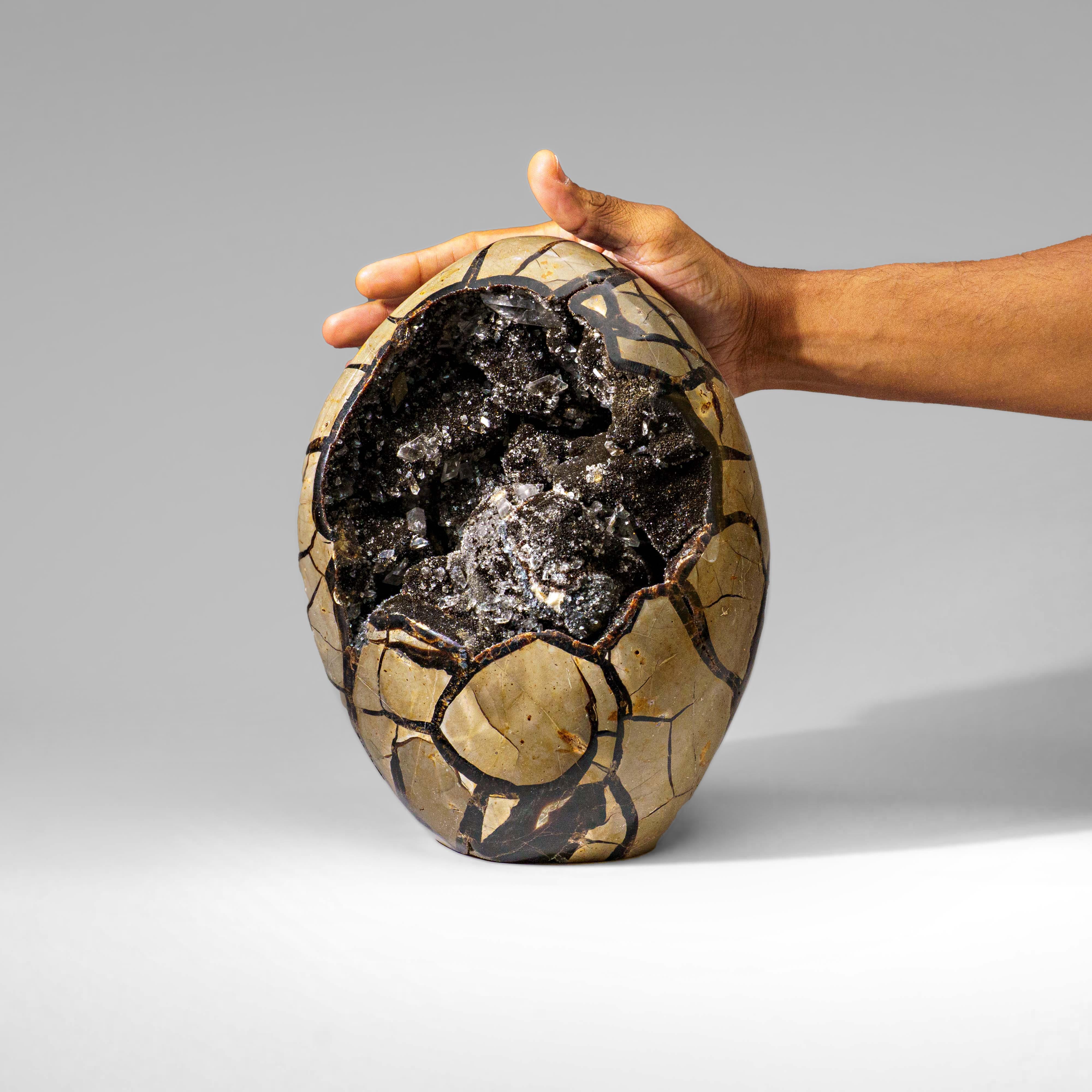 Polished Septarian Druzy Geode Egg from Madagascar (18 lbs) For Sale 3