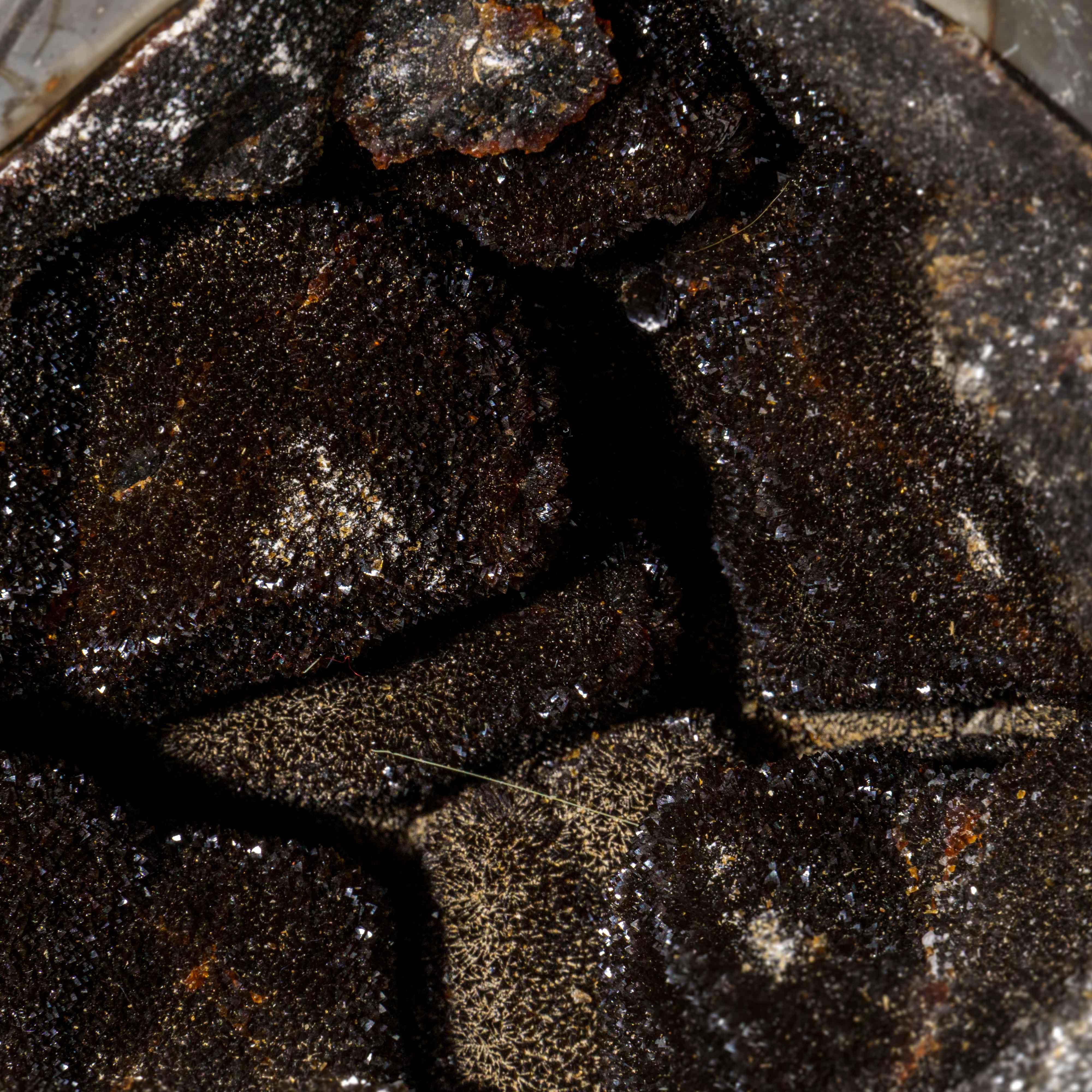 Questo uovo di geode druzico settario di alta qualità, proveniente dal Madagascar, presenta un'area esposta rivestita di cristalli di quarzo druzico abbaglianti e un lato posteriore lucidato, che offre una superficie altamente riflettente. Il
