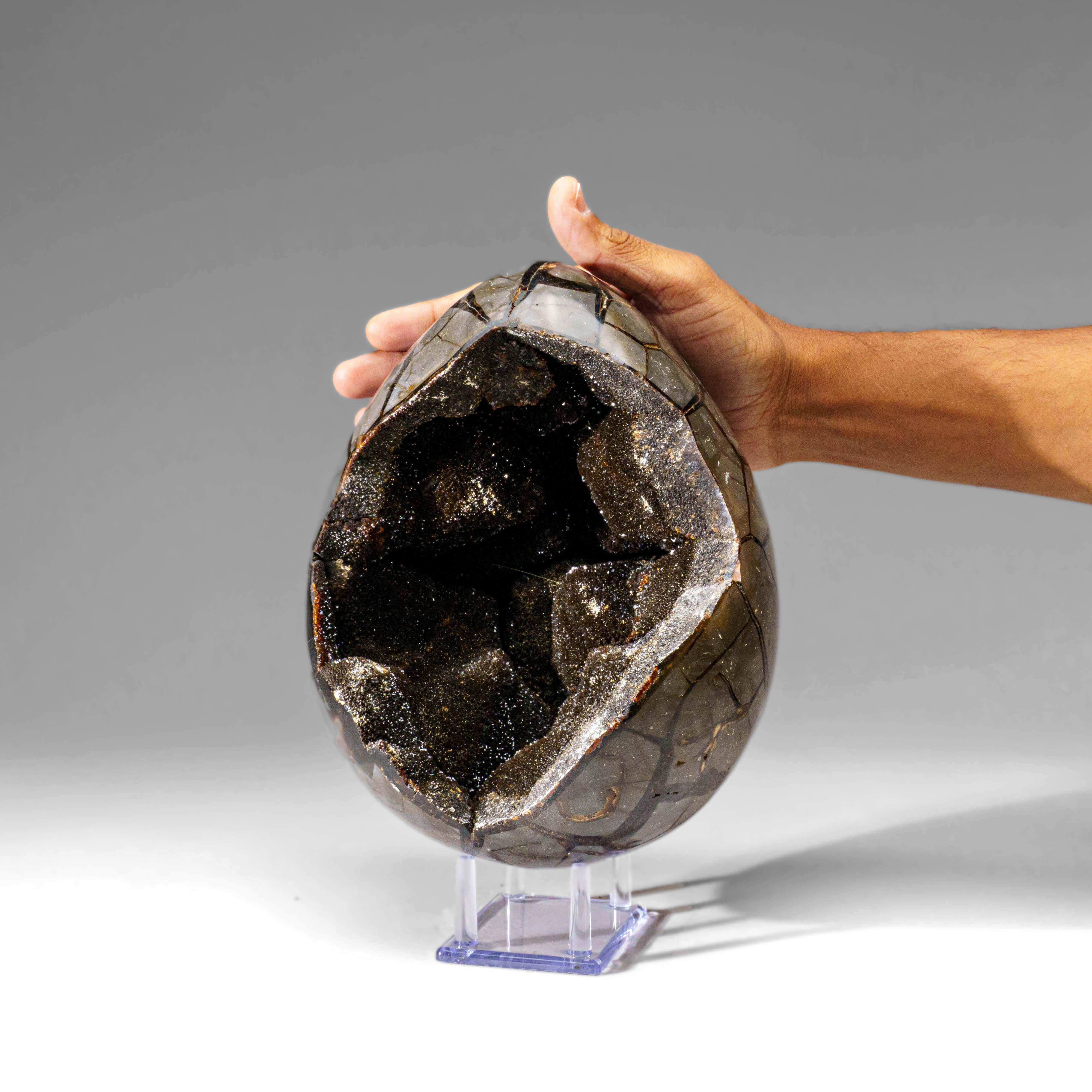 Uovo di geode druzico settario lucidato del Madagascar (18.5 lbs) In condizioni Nuovo in vendita a New York, NY