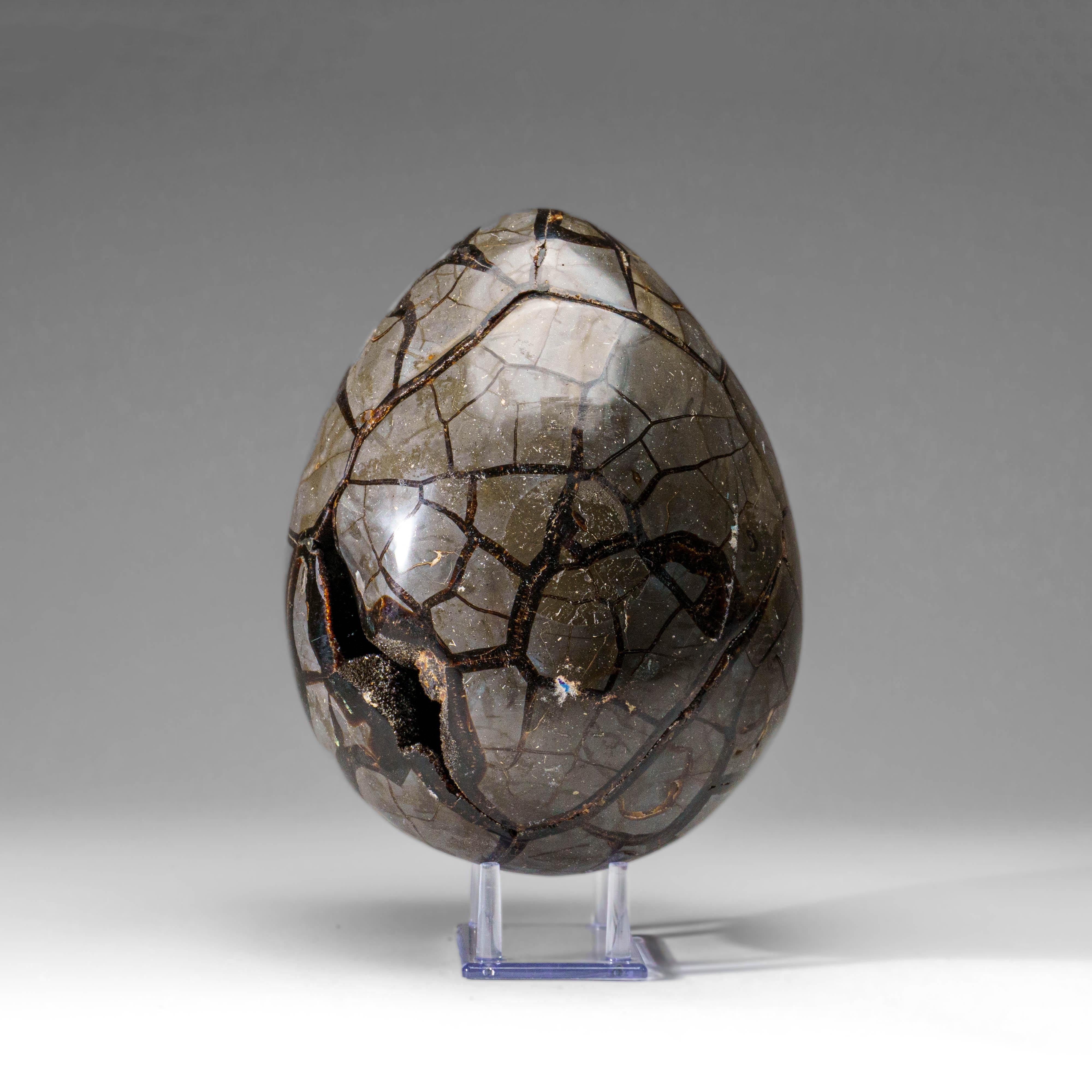 XXI secolo e contemporaneo Uovo di geode druzico settario lucidato del Madagascar (18.5 lbs) in vendita