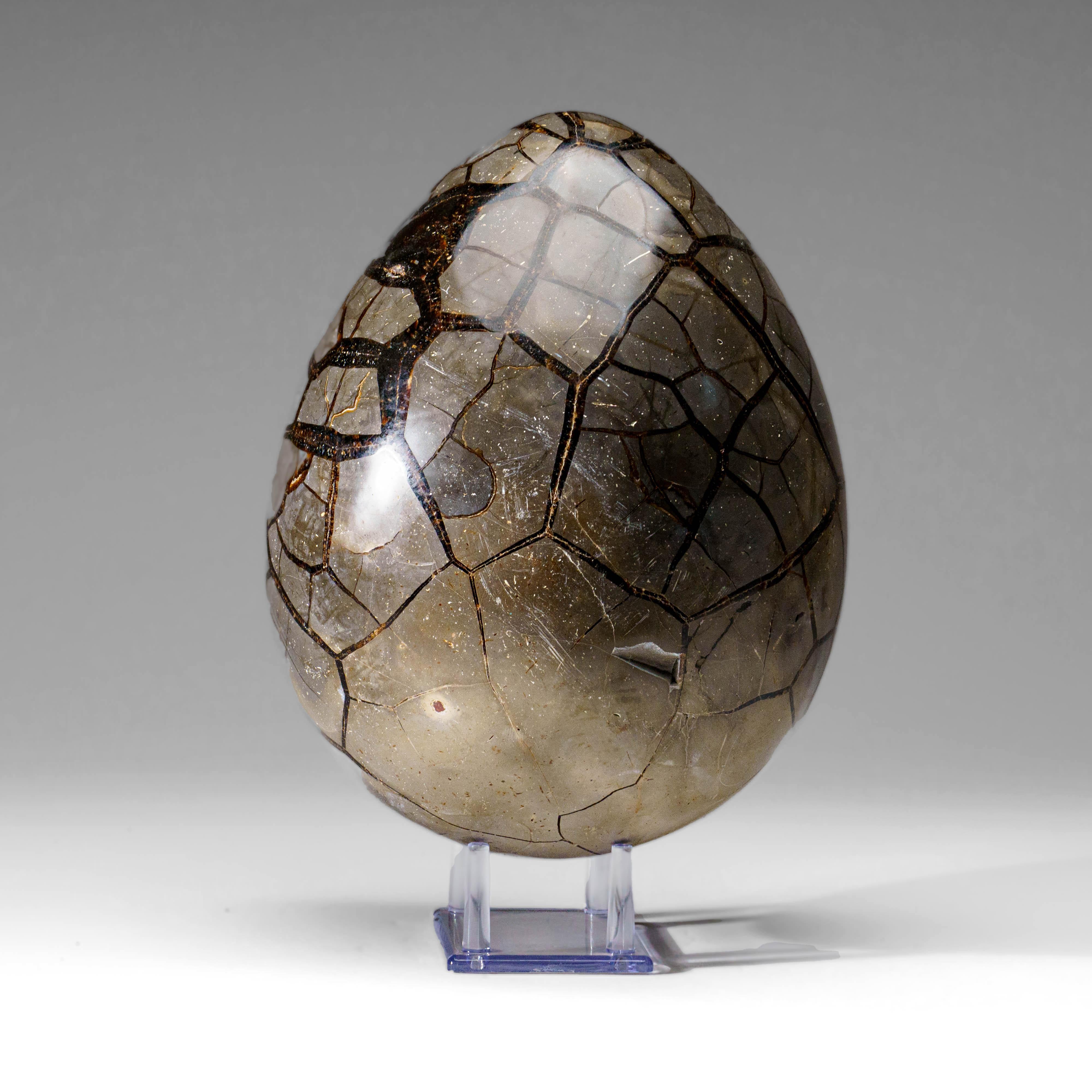Uovo di geode druzico settario lucidato del Madagascar (18.5 lbs) in vendita 2