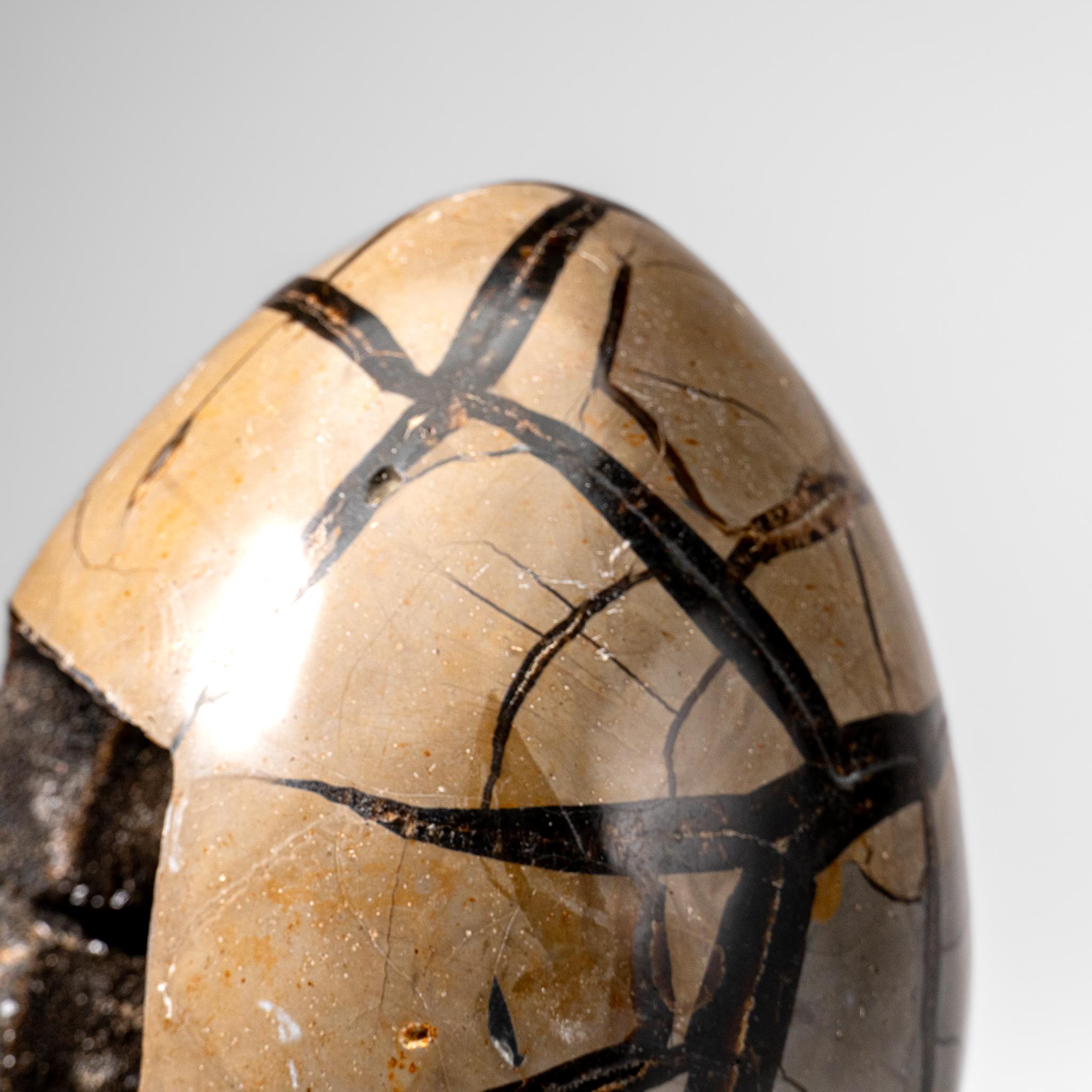 Polished Septarian Druzy Geode Egg from Madagascar (20 lbs) For Sale 4