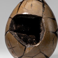 Poliertes Septarian Druzy Geode-Ei aus Madagaskar (20 lbs)